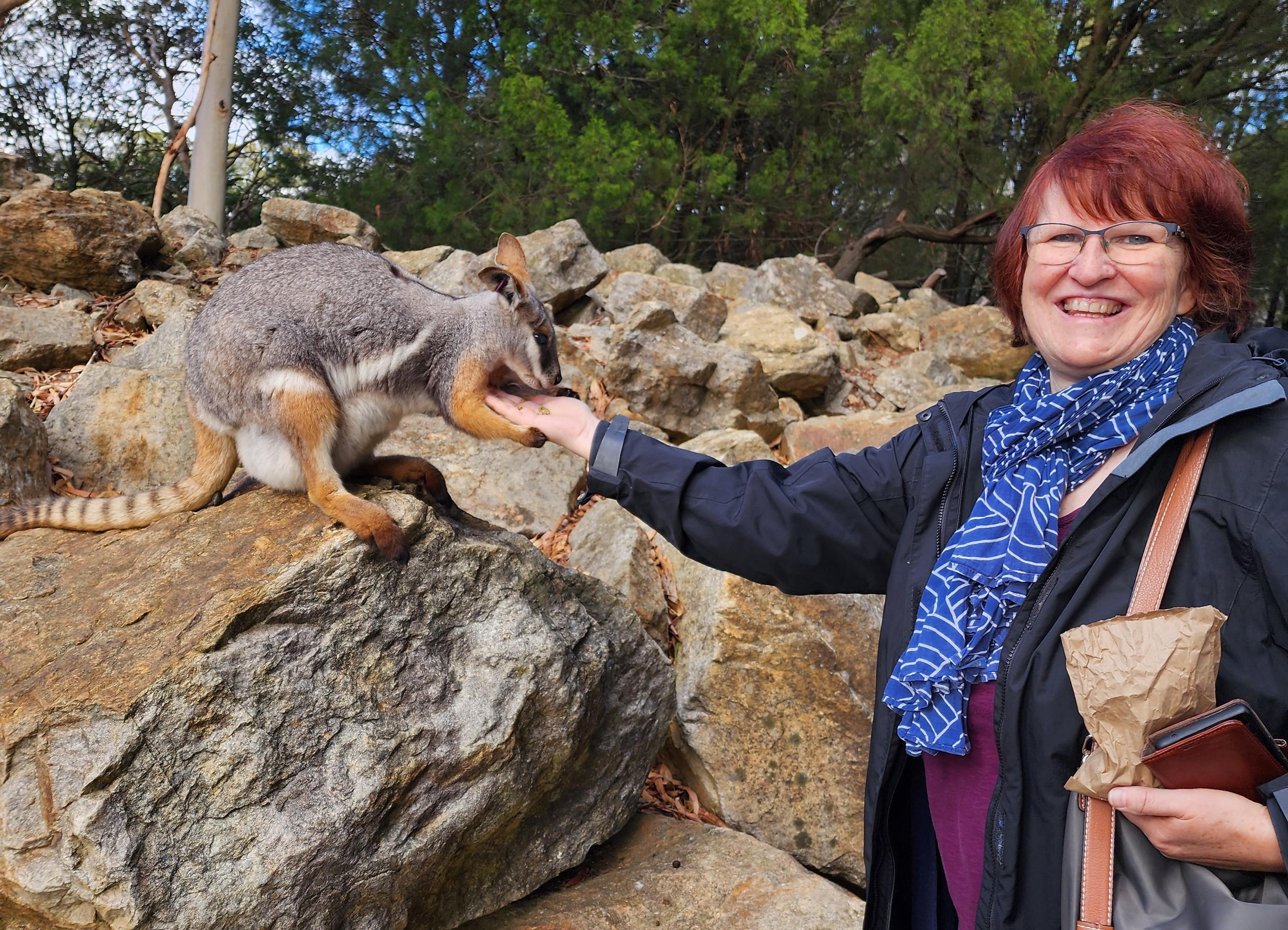 Adelaide Hills Wildlife & Heritage Day Tour