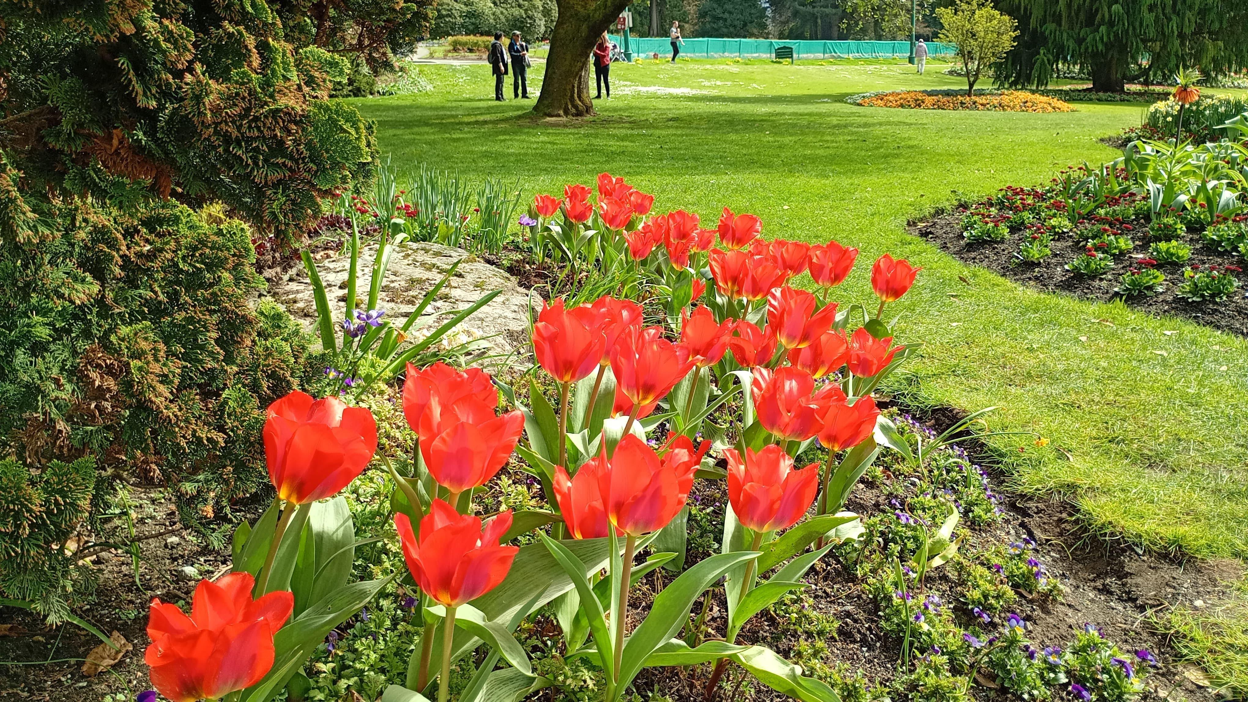 Vancouver Complete City & Neighborhoods Tour