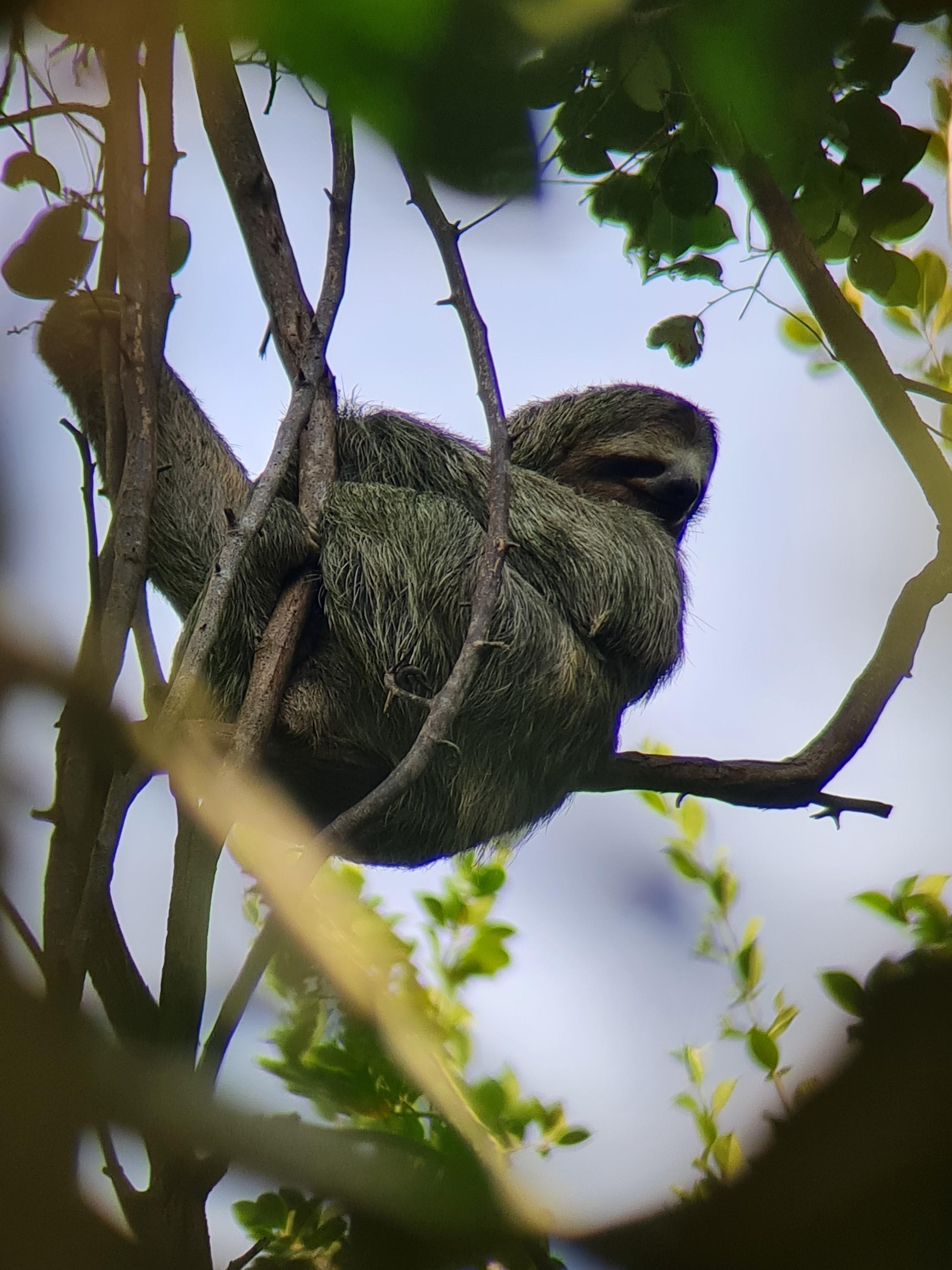 Manuel Antonio National Park: Expert-Guided Wildlife Hike