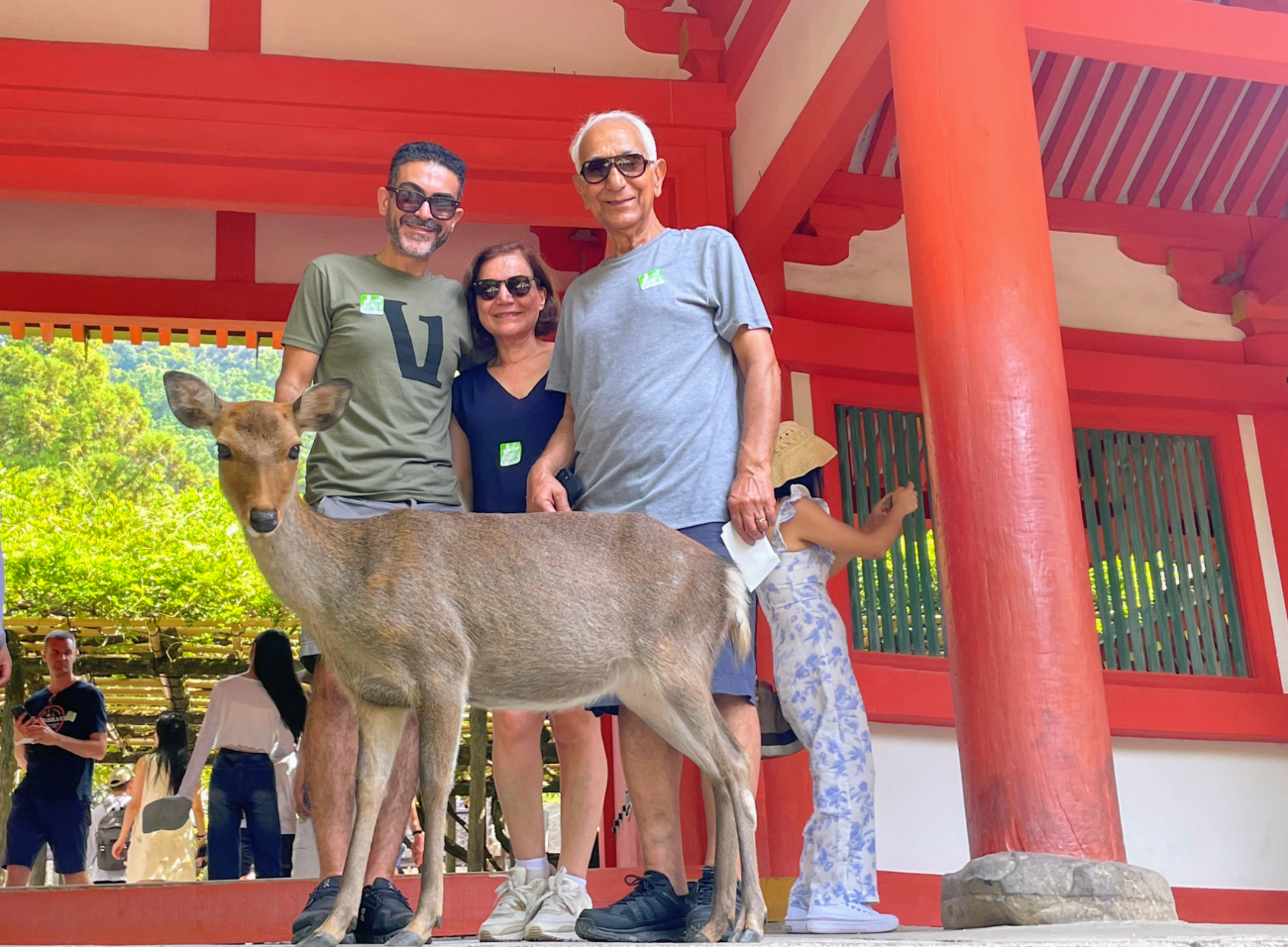 Nara Guided Half-Day Morning Tour from Kyoto