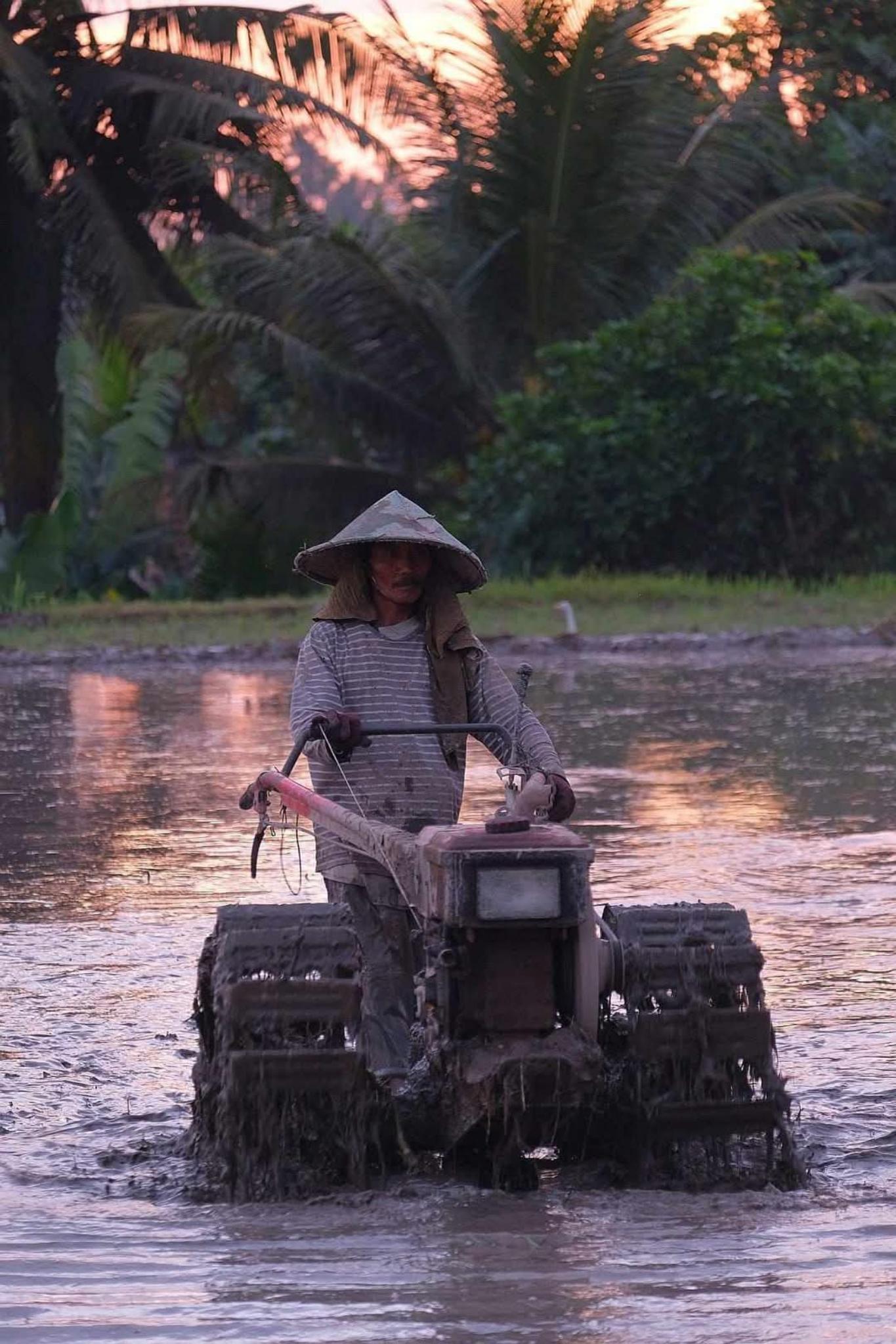 Ubud Cultural Discovery: Sacred Springs, Rice Terraces & Waterfalls