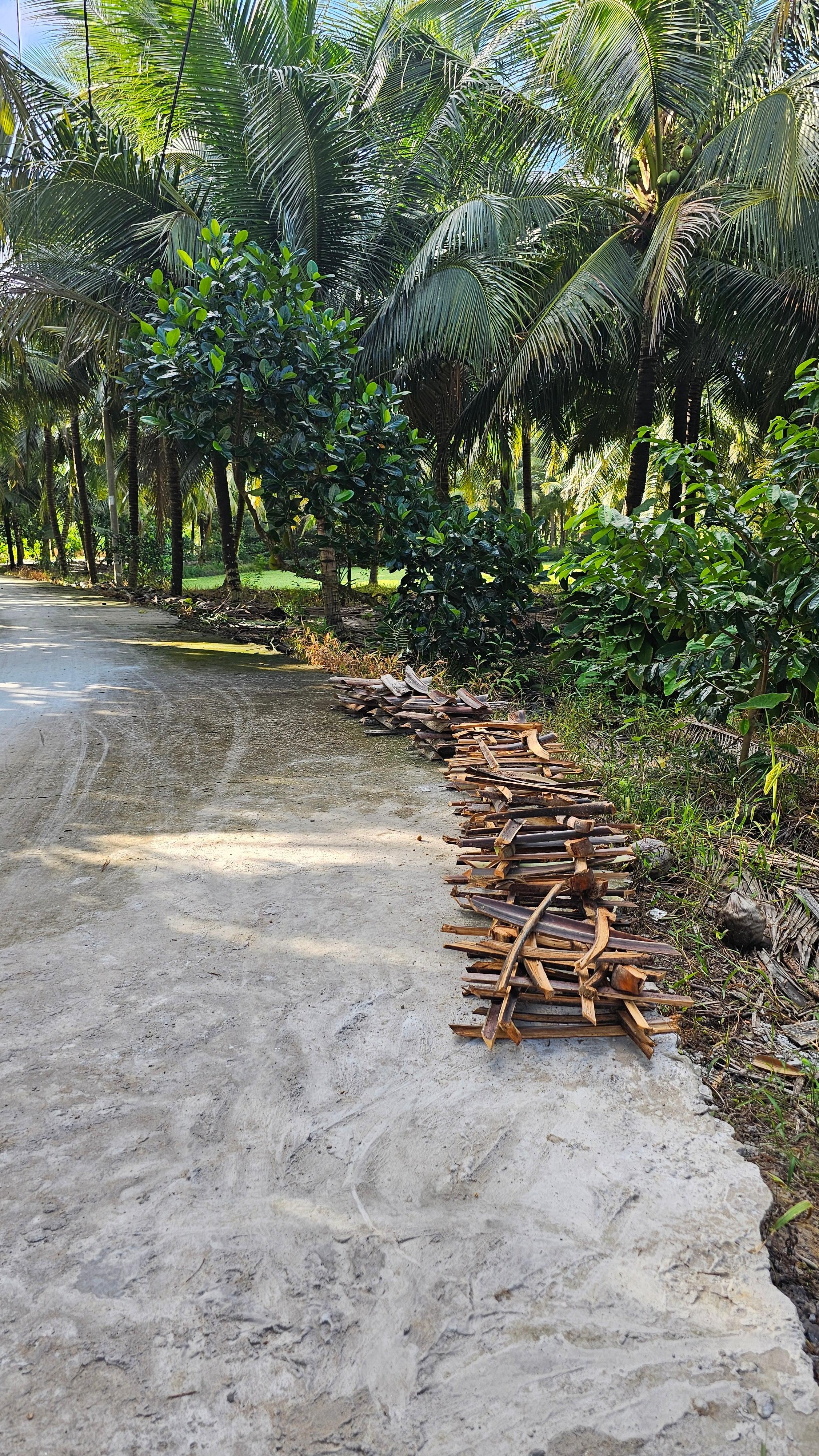 Can Tho: Cai Rang Floating Market & Authentic Mekong Experience