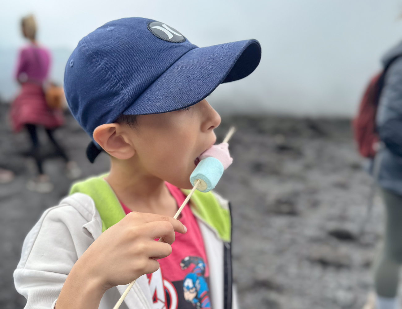 Pacaya Volcano Marshmallow Roast: 6-Hour Tour from Antigua