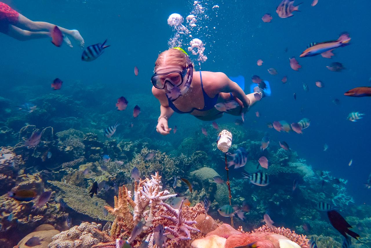 Private 3-Day Karimunjawa Islands Escape from Yogyakarta