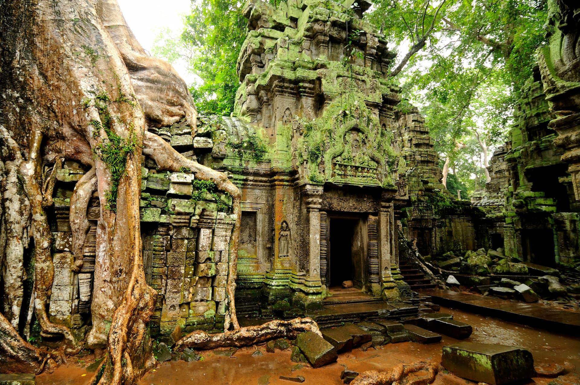 Siem Reap: Full-Day Angkor Temple Cycling Adventure