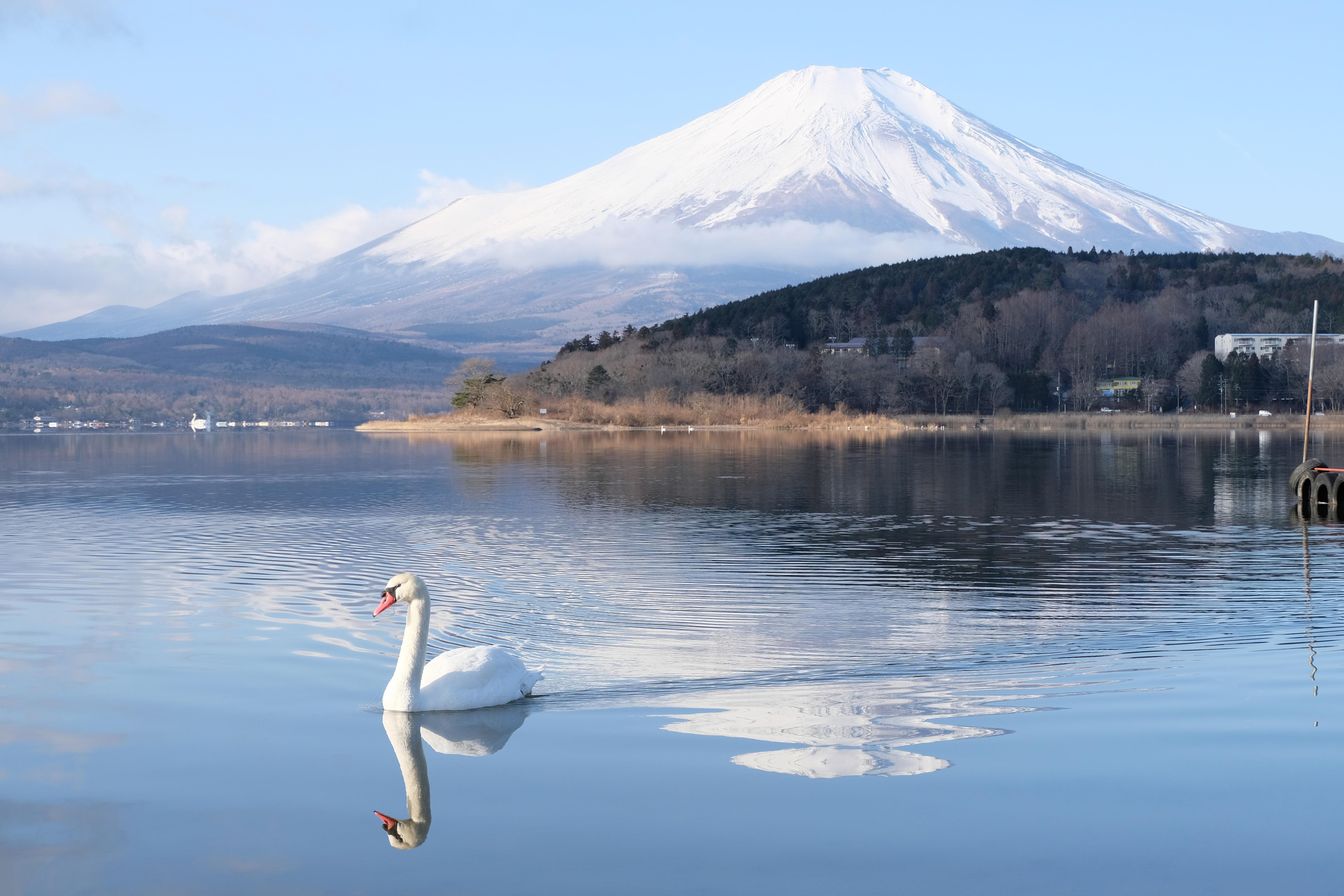 Mount Fuji Full-Day Tour from Tokyo: Two Routes, One Iconic Mountain