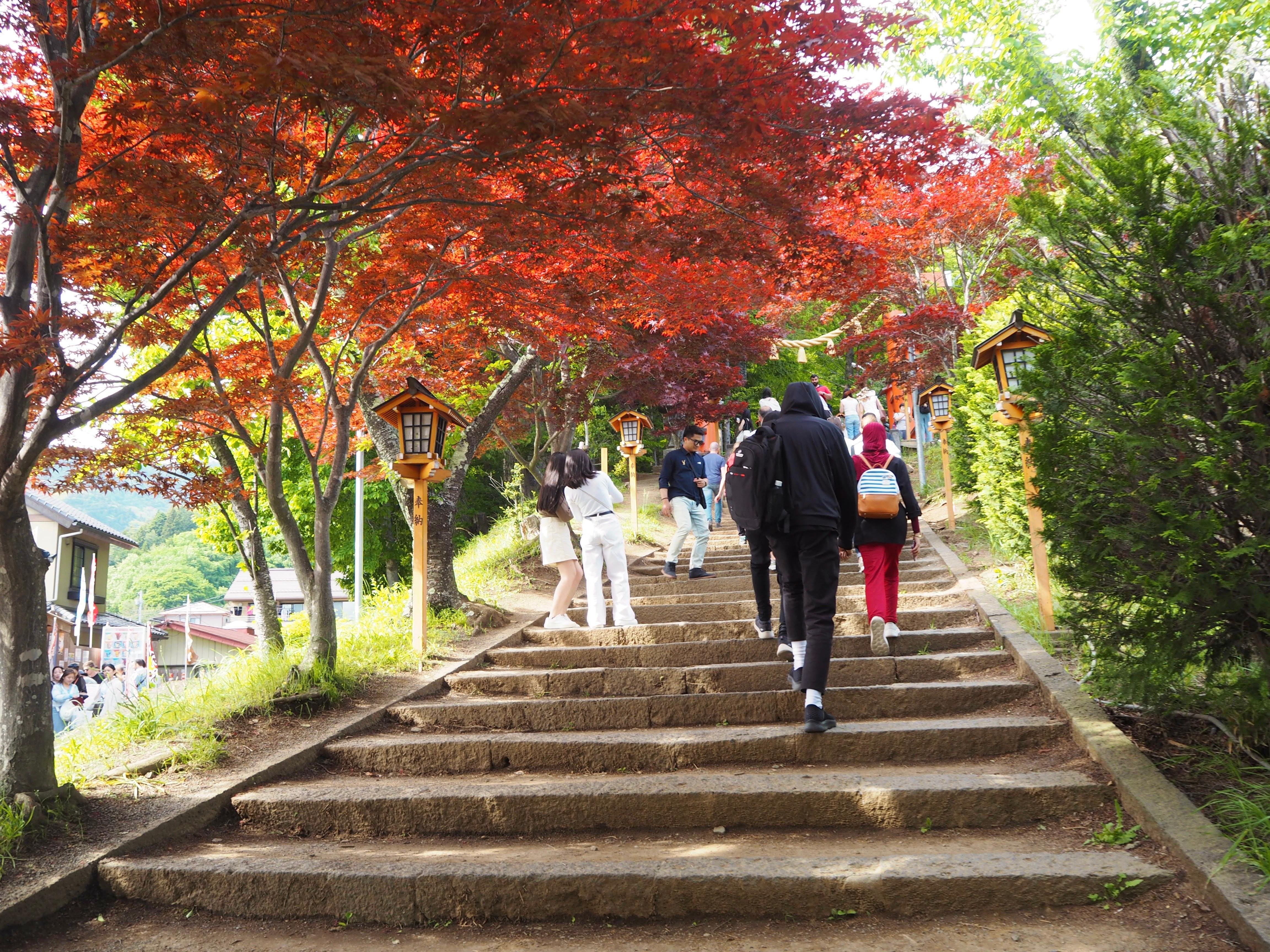 Mt. Fuji, Lake Kawaguchi & Chureito Pagoda Day Trip from Tokyo