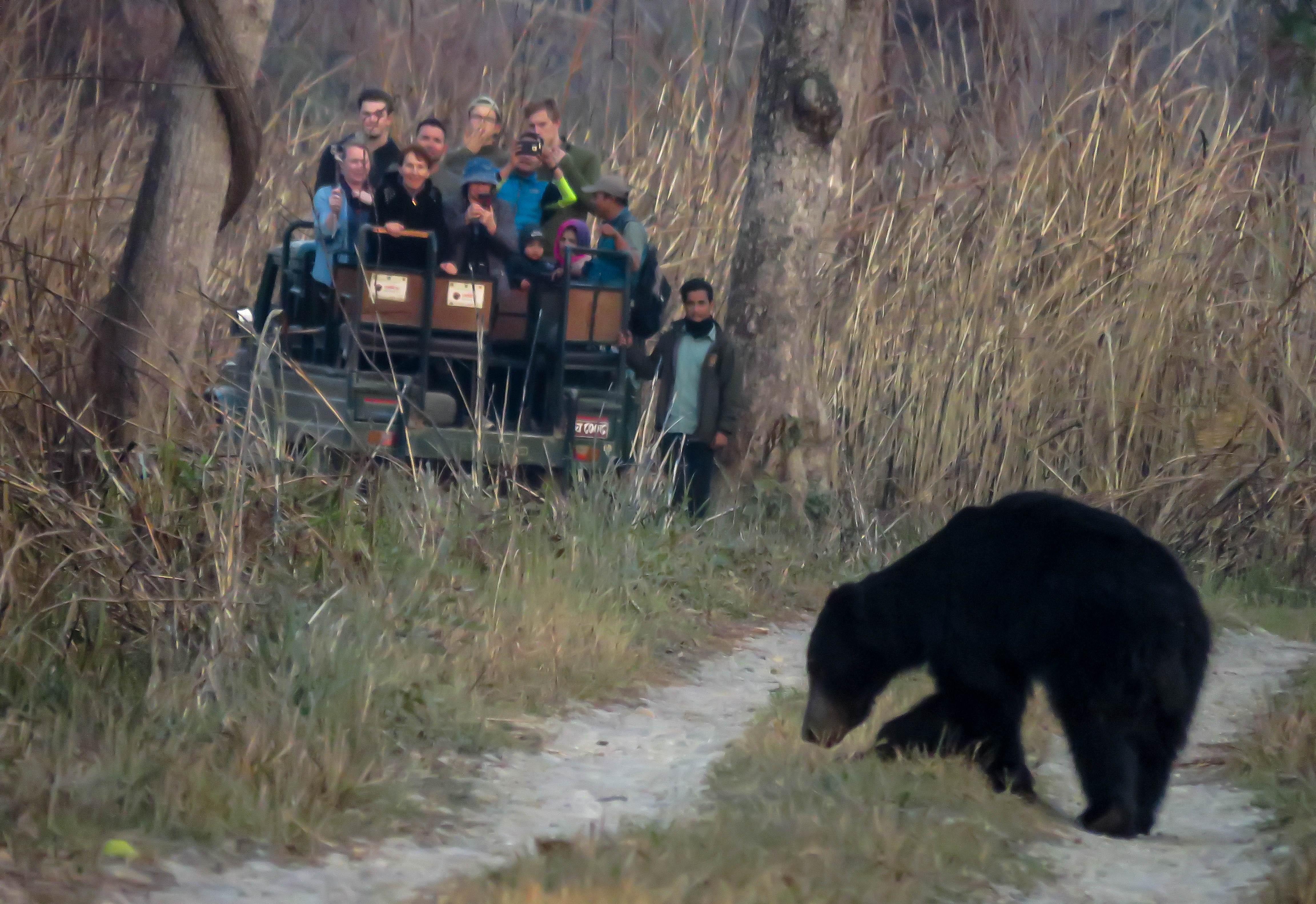 3-Day Chitwan National Park Wildlife Safari from Kathmandu or Pokhara