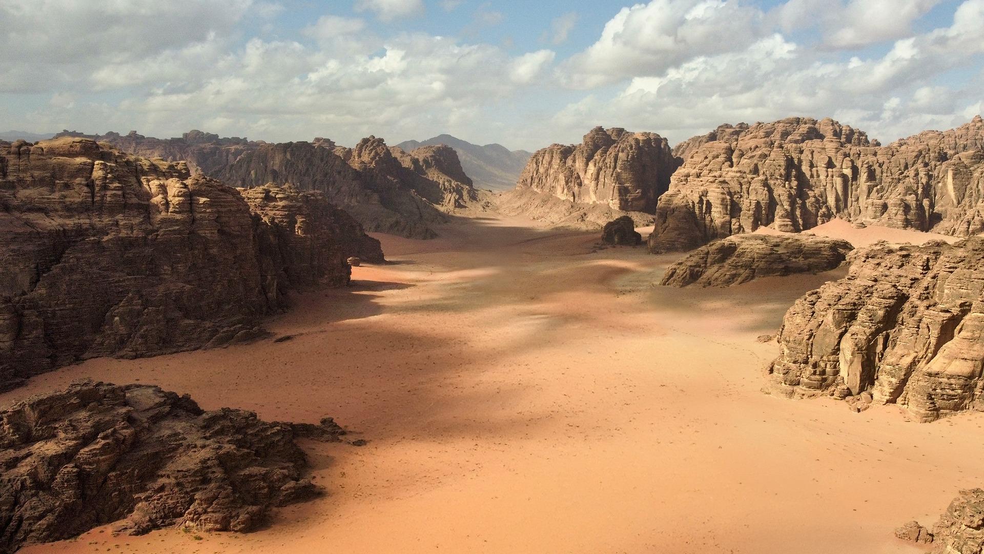 Petra & Wadi Rum: One-Day Private or Group Journey