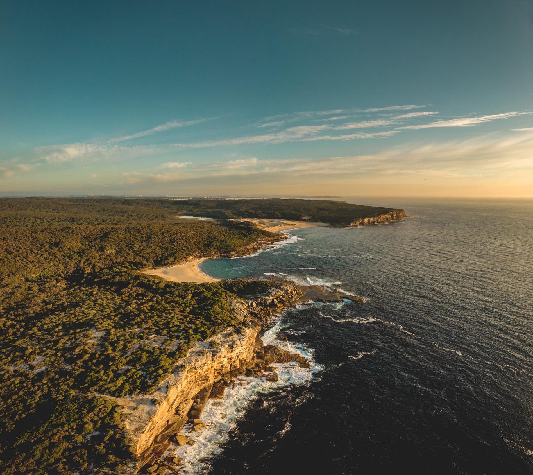 Sydney: Royal National Park Coast & Forest, Koalas & Lunch