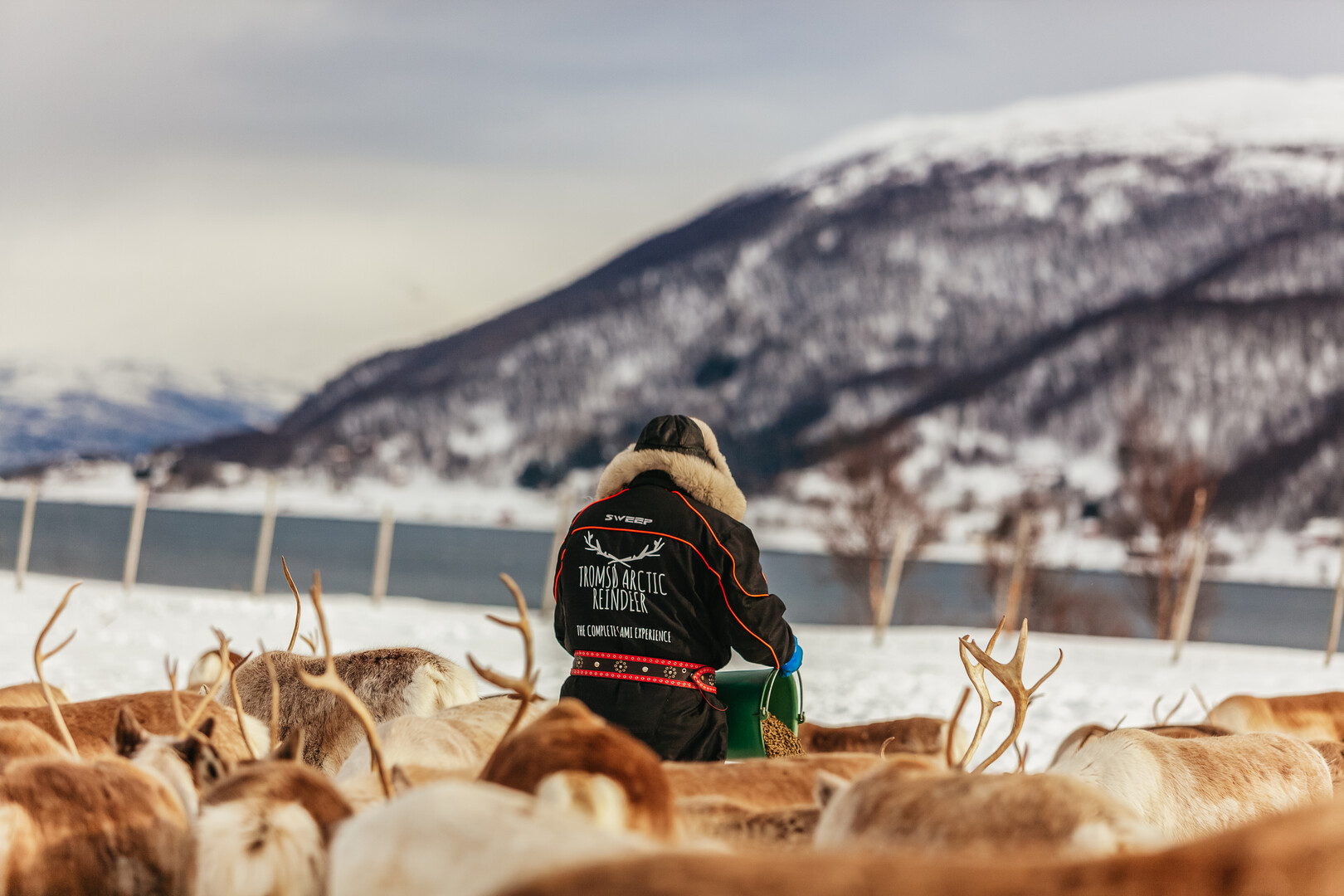 Tromso reindeer sledding and feeding tour with a Sami guide — image 7