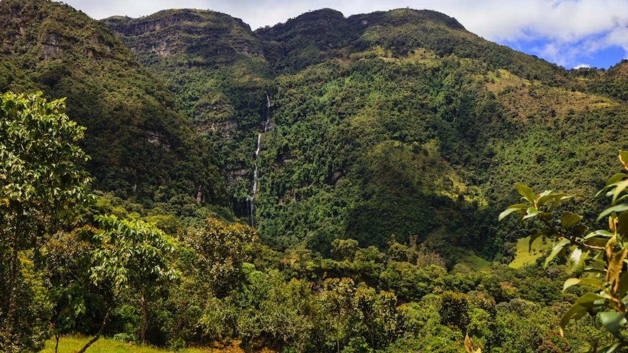 La Chorrera Waterfall & Thermal Springs Escape