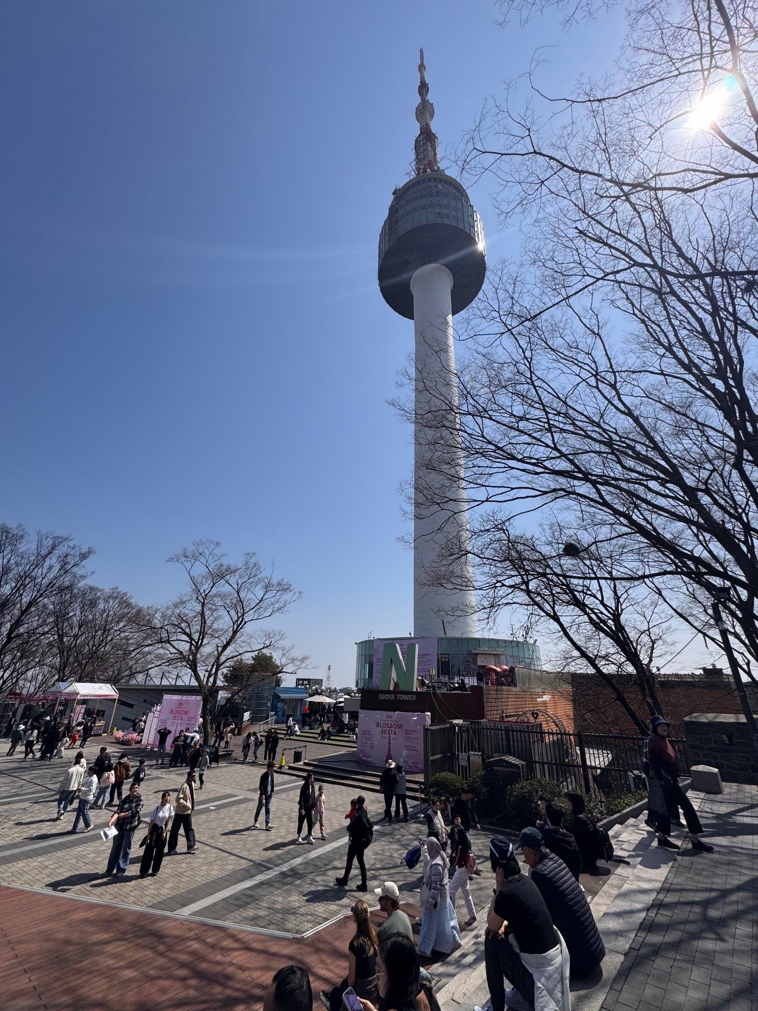 Namsan Mountain City Wall Hike & Namdaemun Noodle Lunch