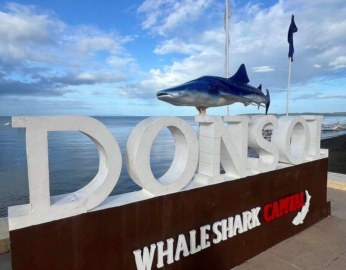 Donsol Whale Shark Encounter Day Trip