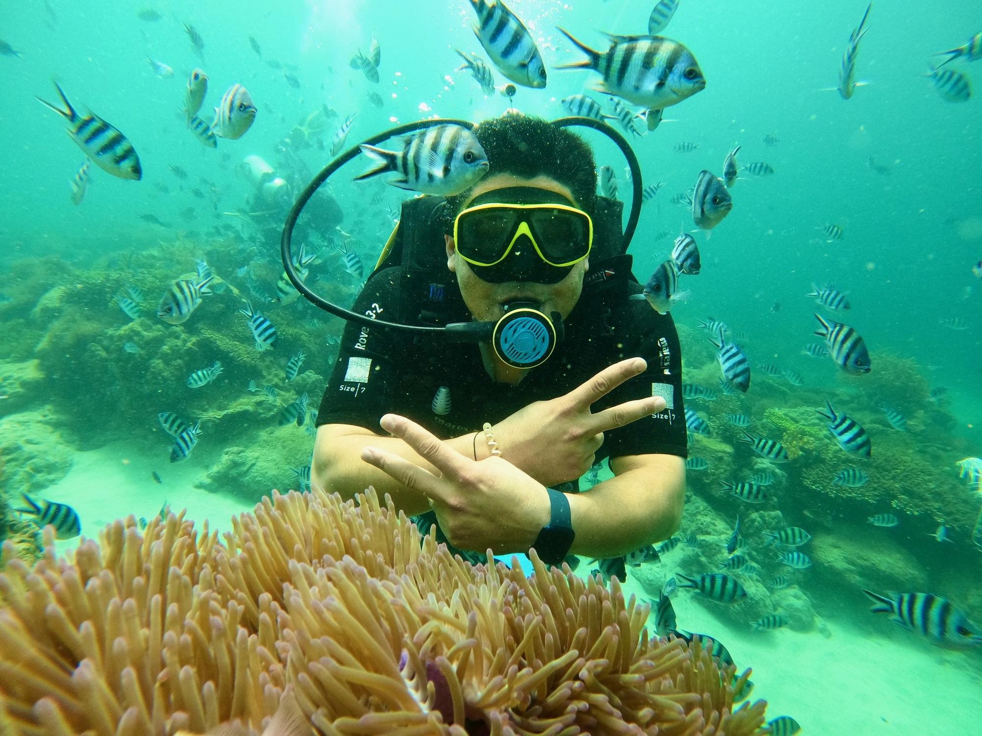 Marine Park Snorkeling Adventure with Lunch