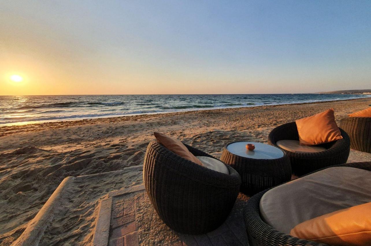 Full-Day Qatar Desert Safari with Camp Dining