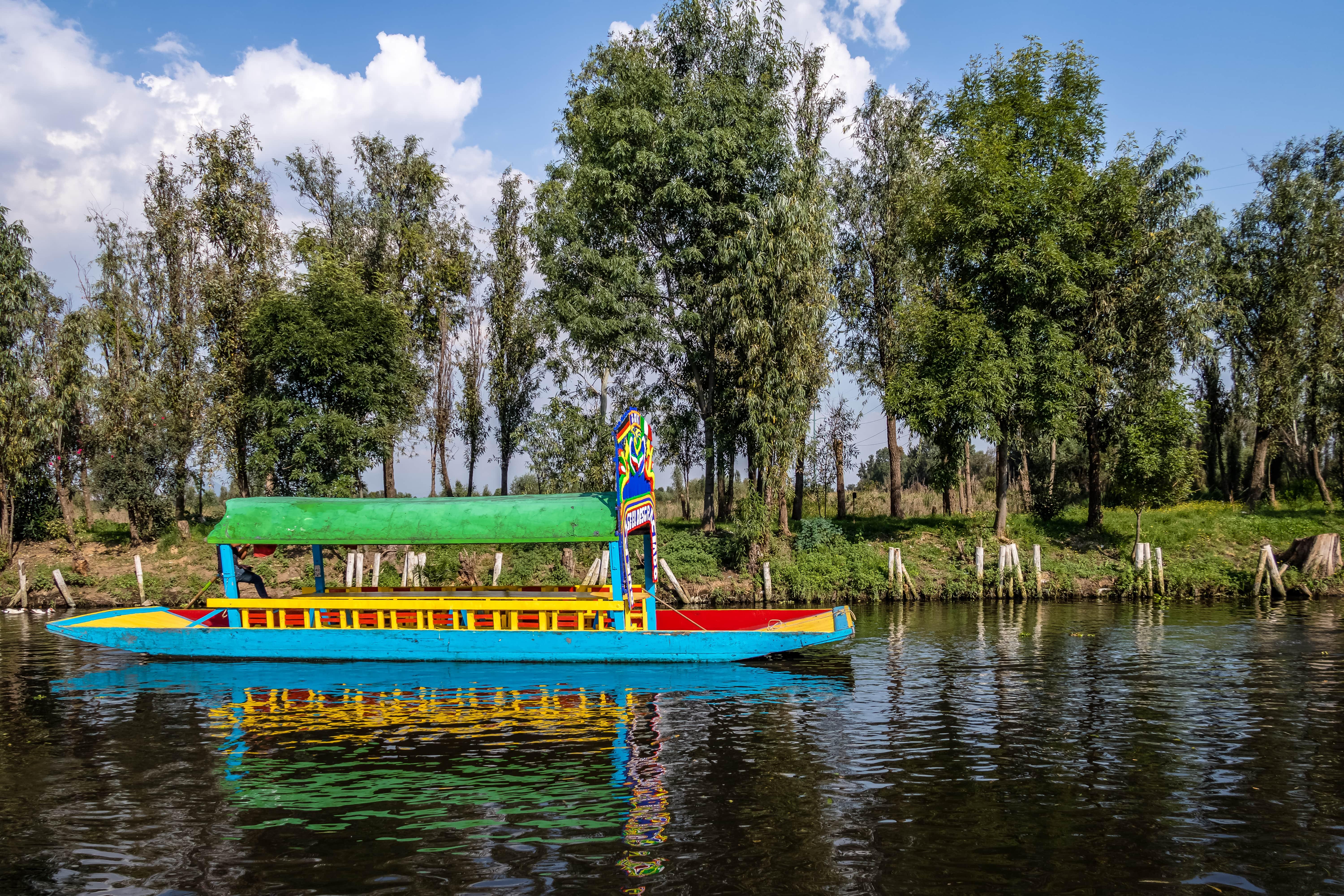Mexico City: Xochimilco, Coyoacán, and Frida Kahlo Museum Tour
