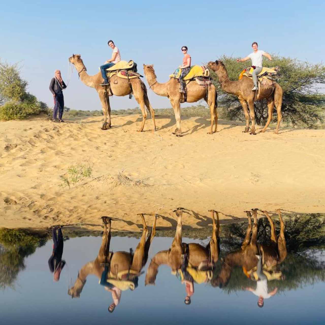Thar Desert Overnight Camel Safari & Village Stay