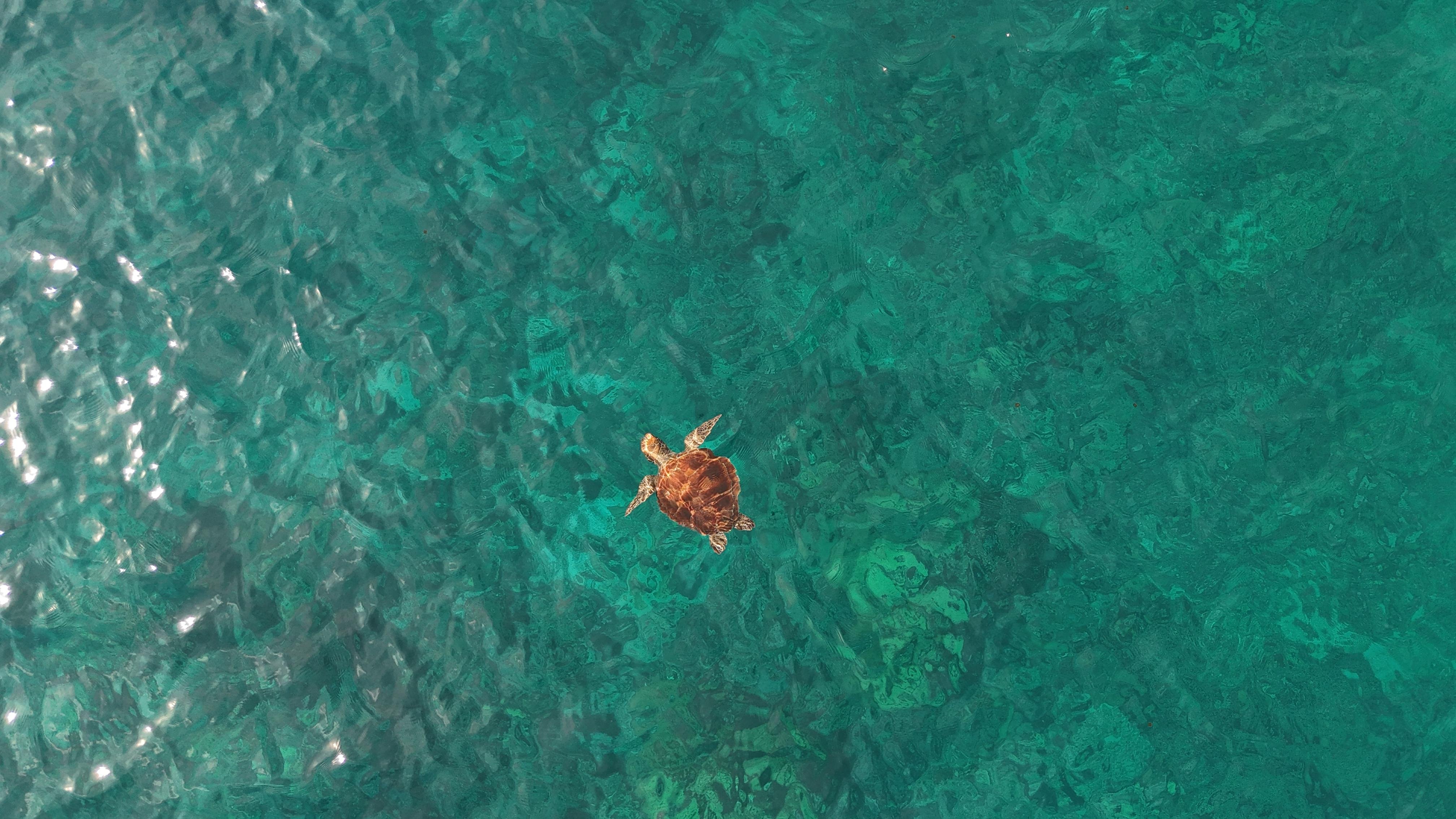 Sibaltan Private Snorkeling & Hidden Islands Boat Tour