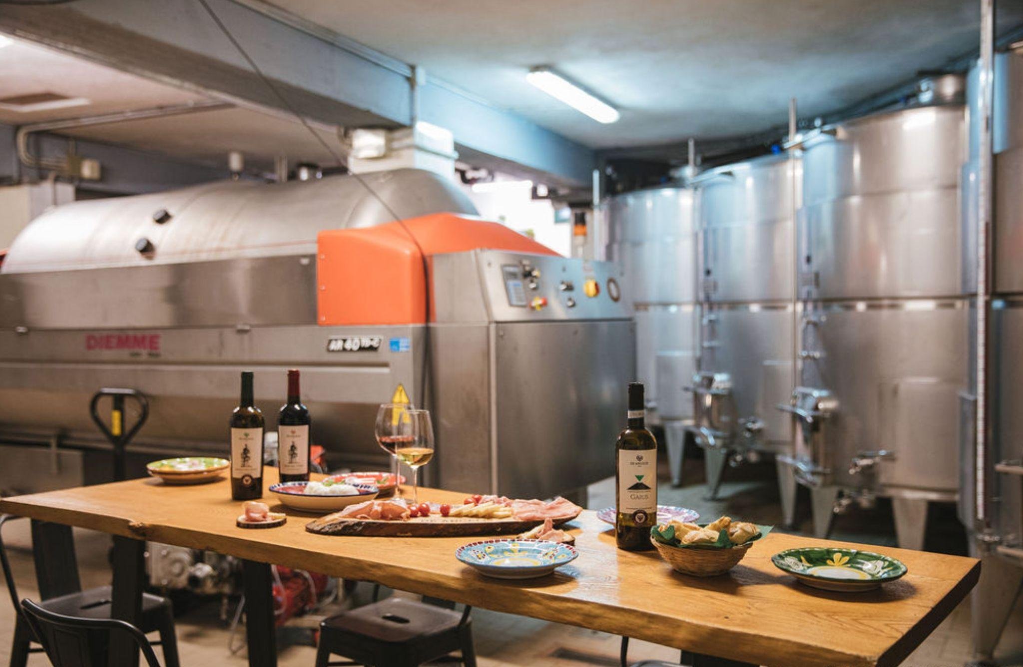 Sorrento DOP Winery Tour with Wine & Antipasto Tasting