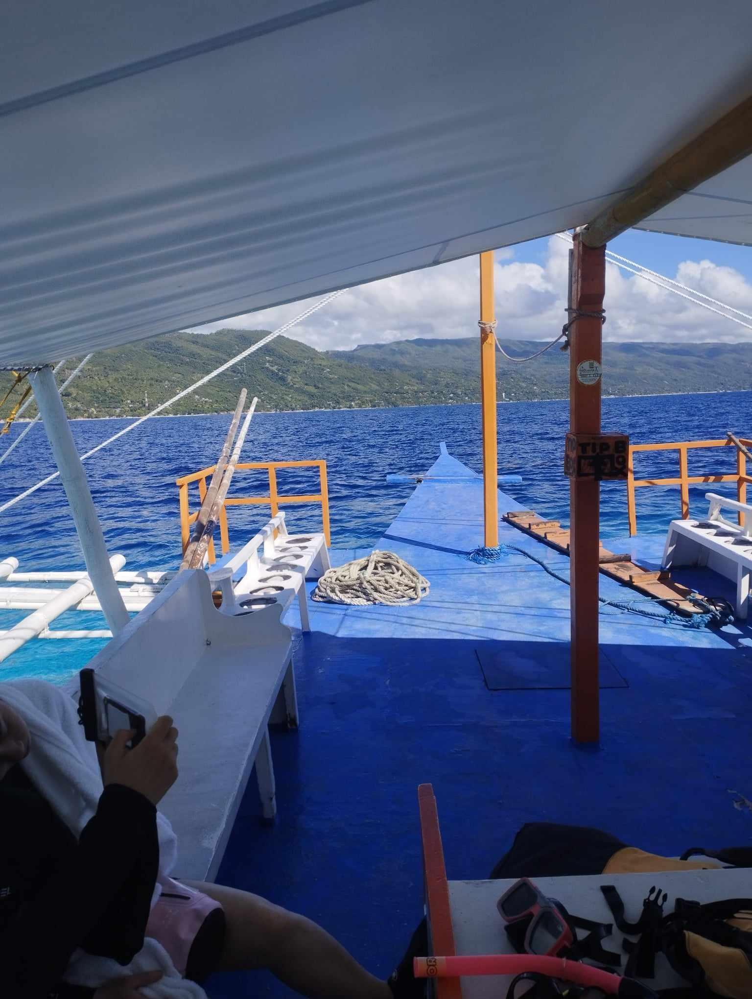 Oslob Triple Adventure: Whale Sharks, Tumalog Falls & Sumilon Island