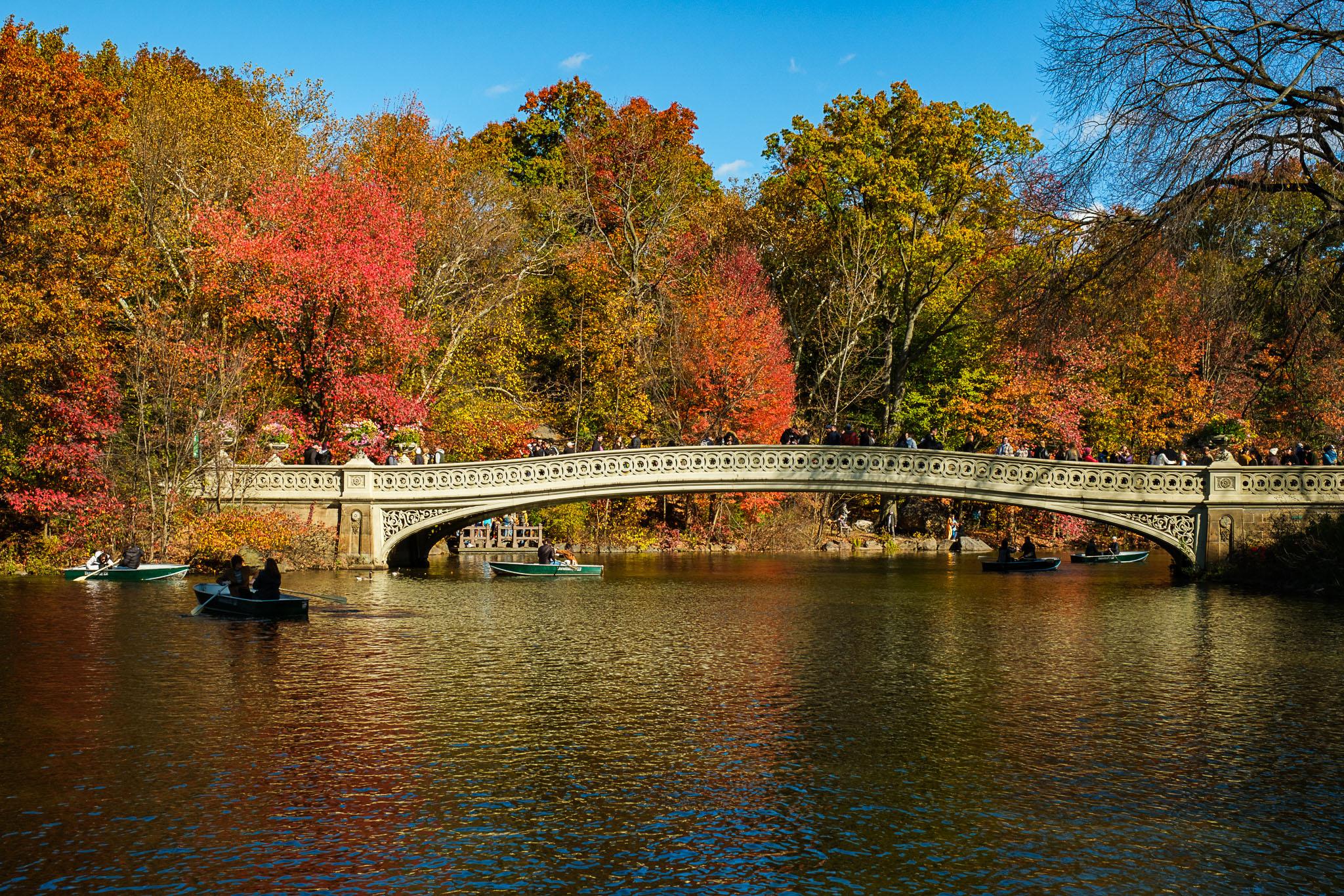 NYC: Private Central Park Pedicab Guided Tour