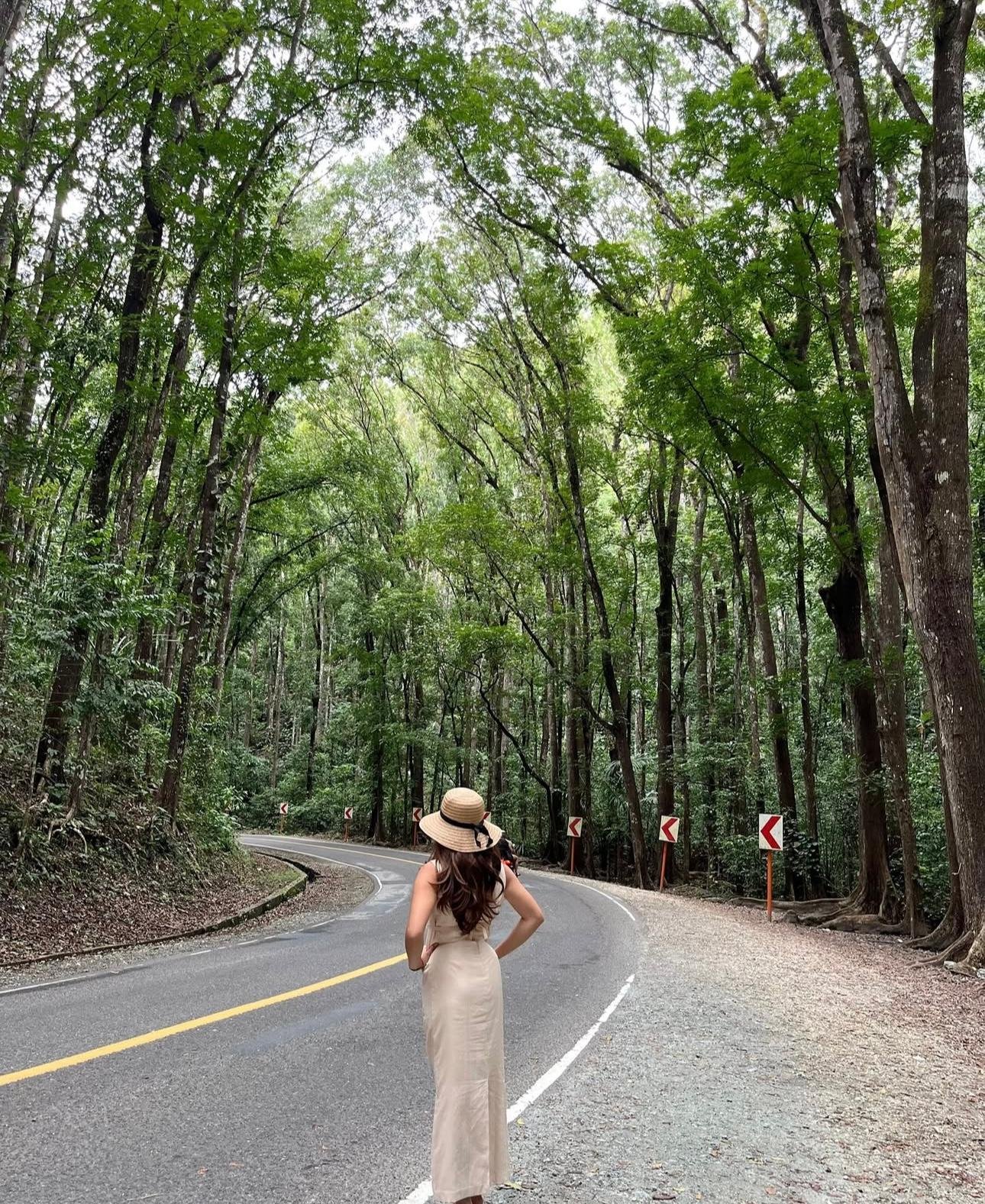 Bohol Countryside Day Tour from Cebu – Chocolate Hills, Tarsiers & Loboc River