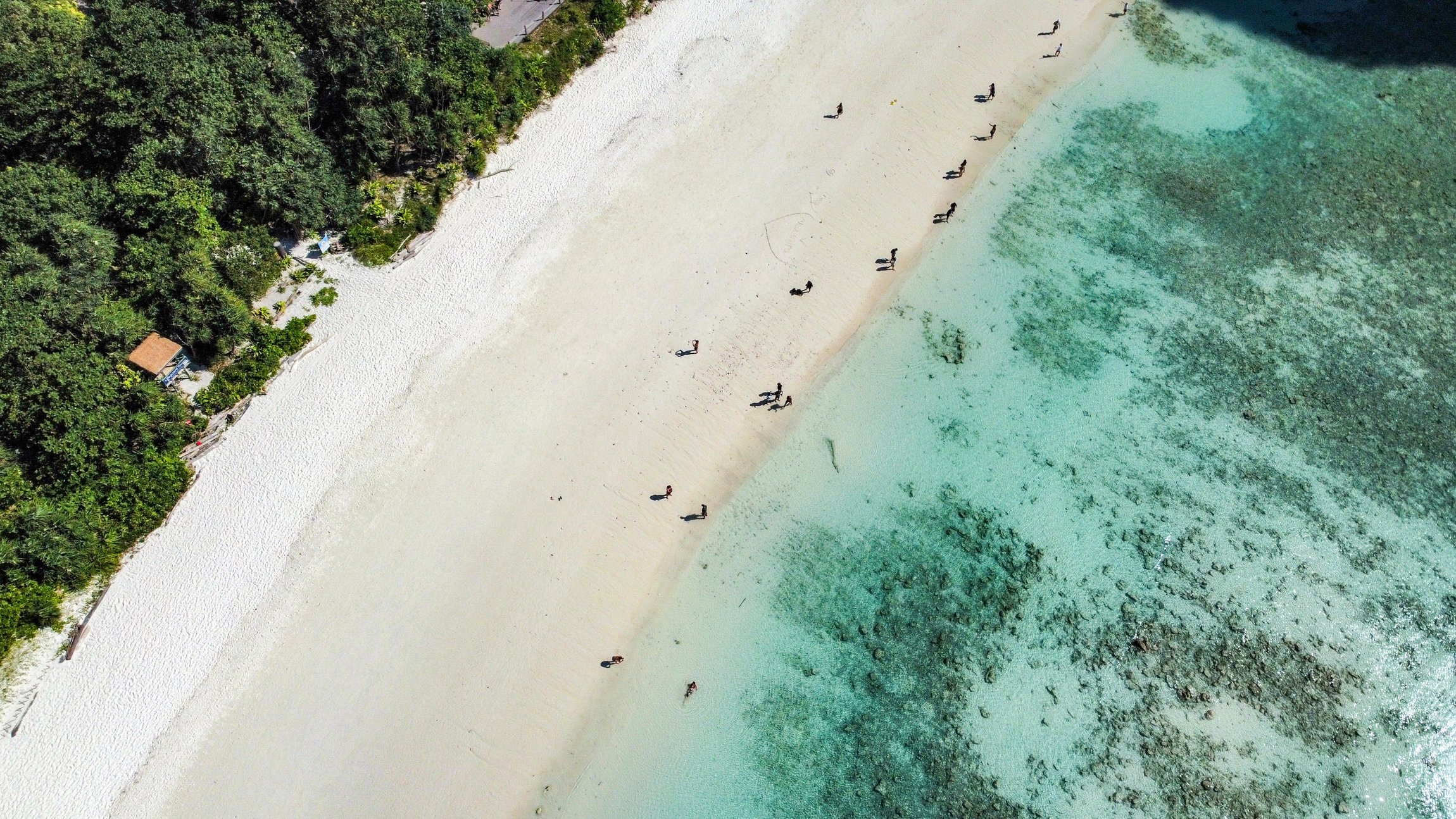 Phuket Speedboat Day Trip: Maya Bay, Phi Phi & Bamboo Island with Buffet Lunch