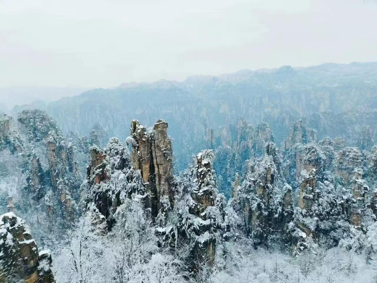 Zhangjiajie Glass Bridge, Avatar Mountains & Tianmen Private Day Trip