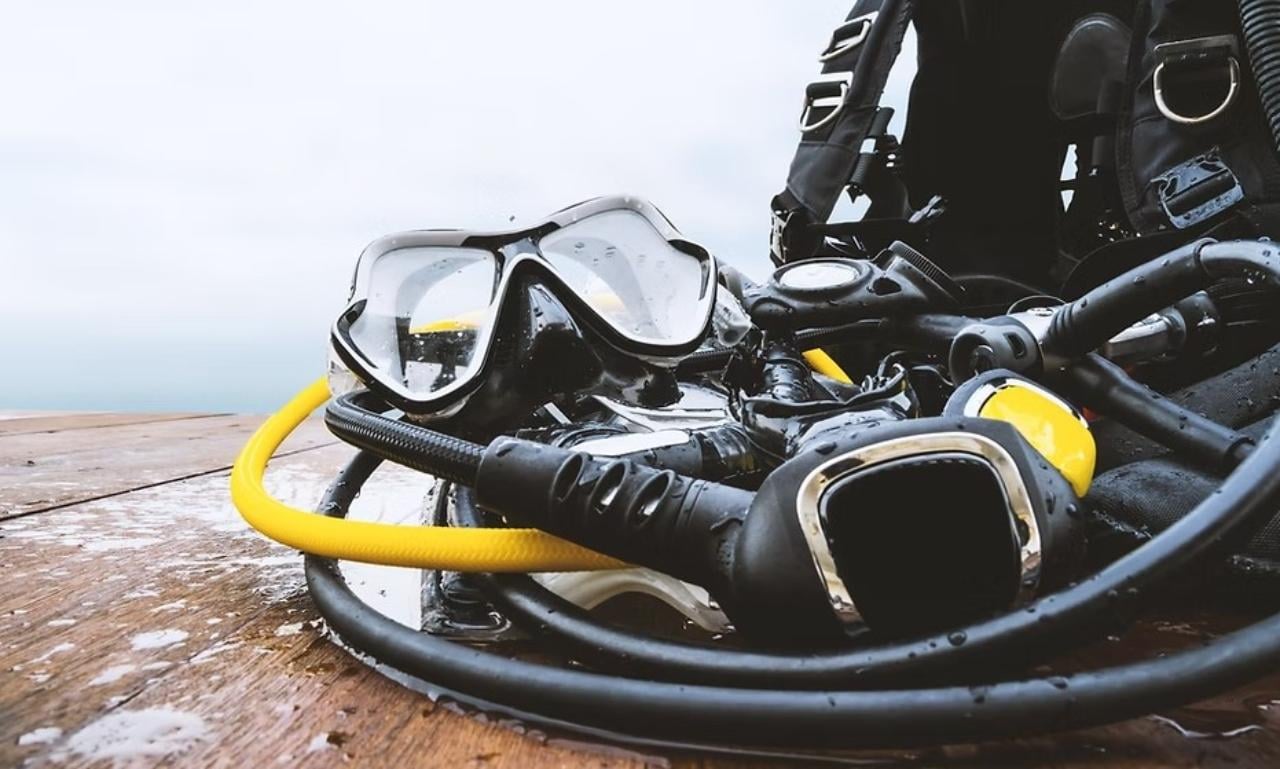 Key Largo Reef Diving & Snorkeling Adventure
