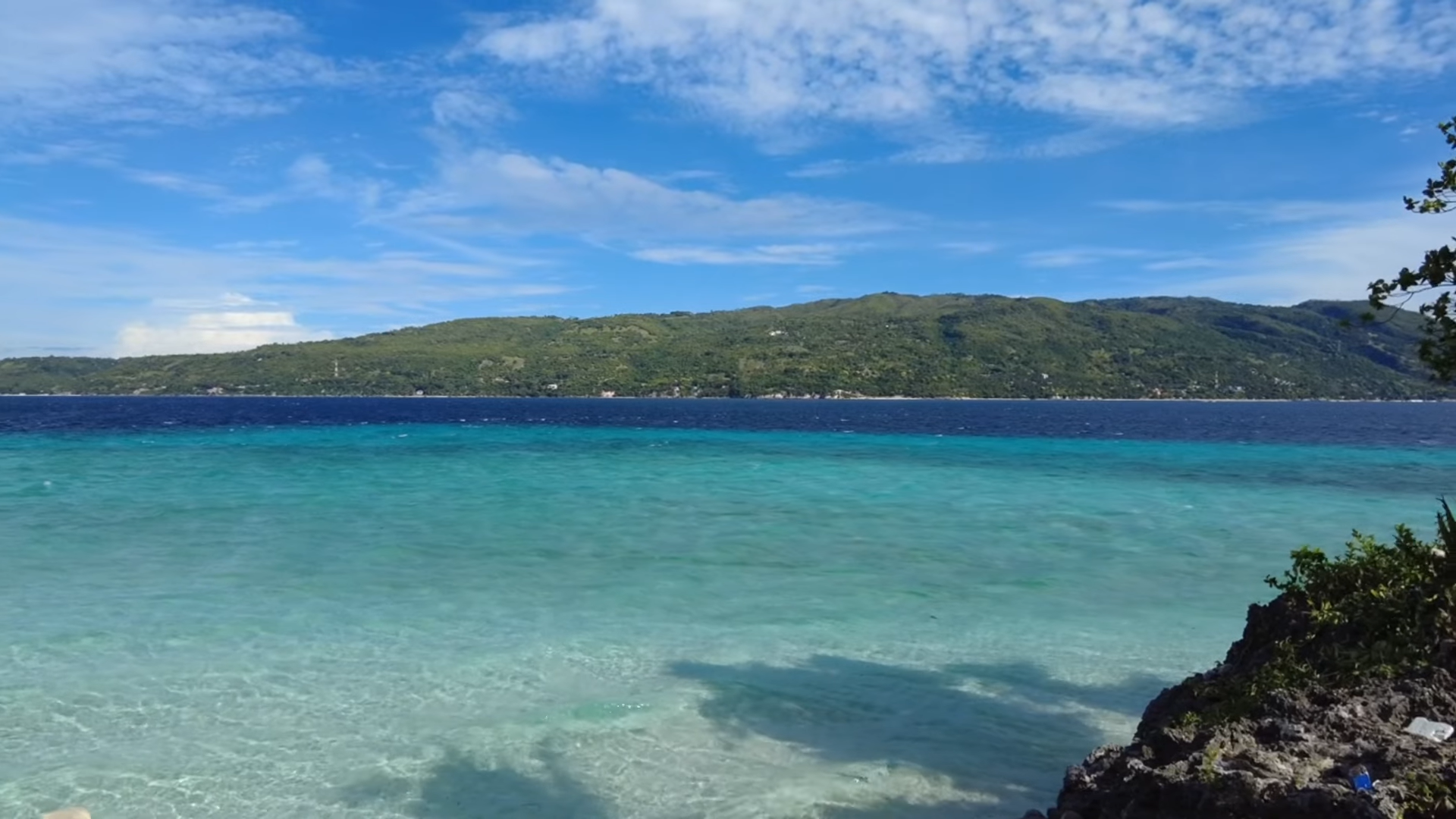 Oslob Triple Adventure: Whale Sharks, Tumalog Falls & Sumilon Island