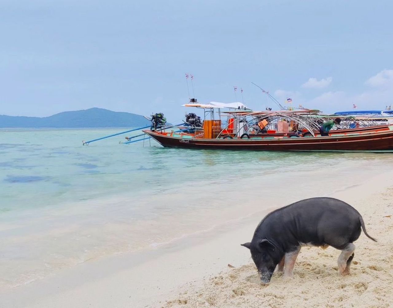 Private Longtail Boat Tour: Koh Madsum Pig Island & Snorkeling
