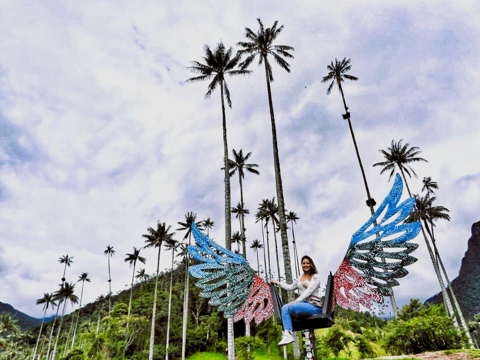 Cocora Valley Wax Palm Hike & Willys Jeep Adventure from Salento