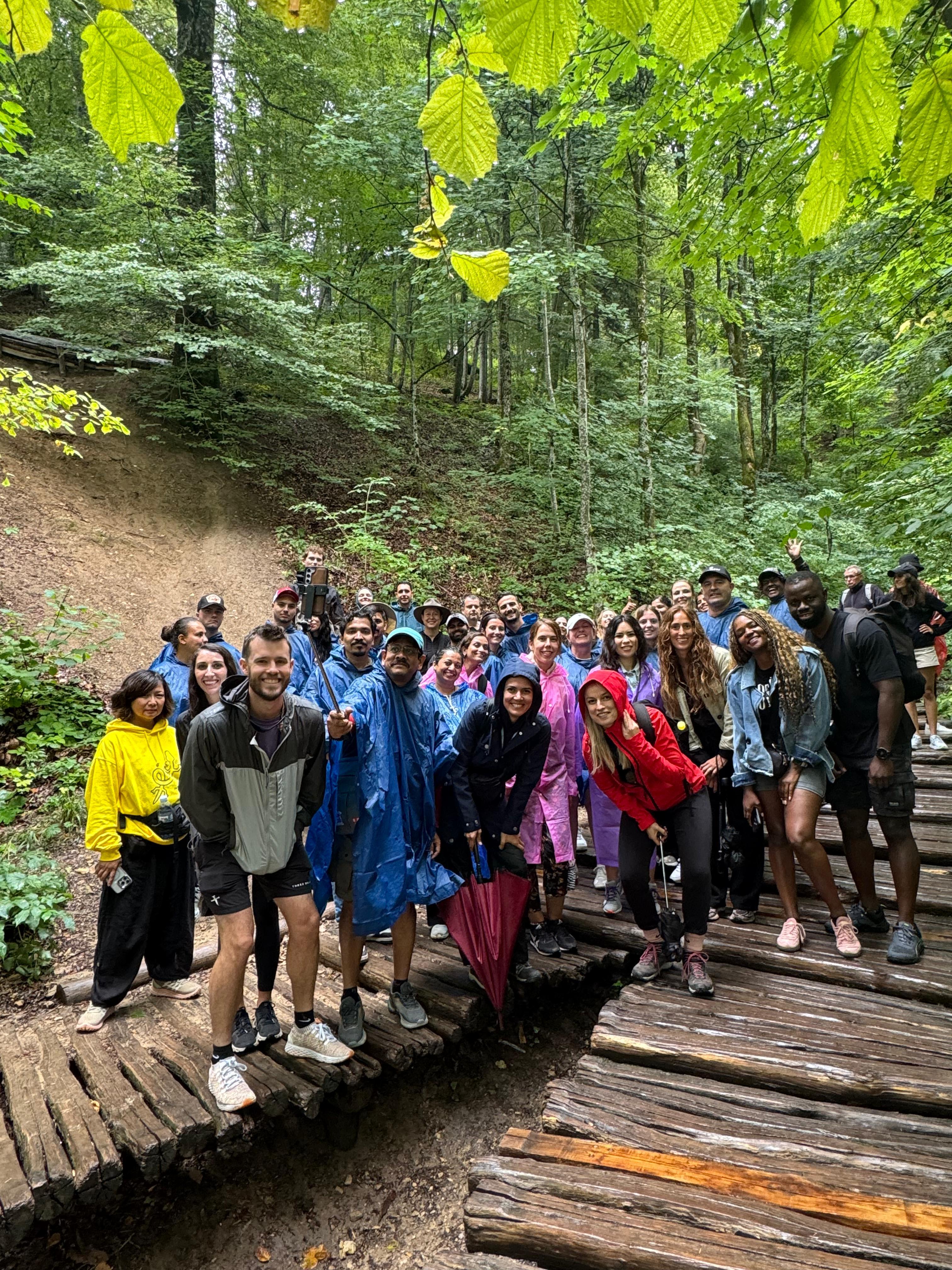 Plitvice Lakes Guided Day Trip from Split or Trogir