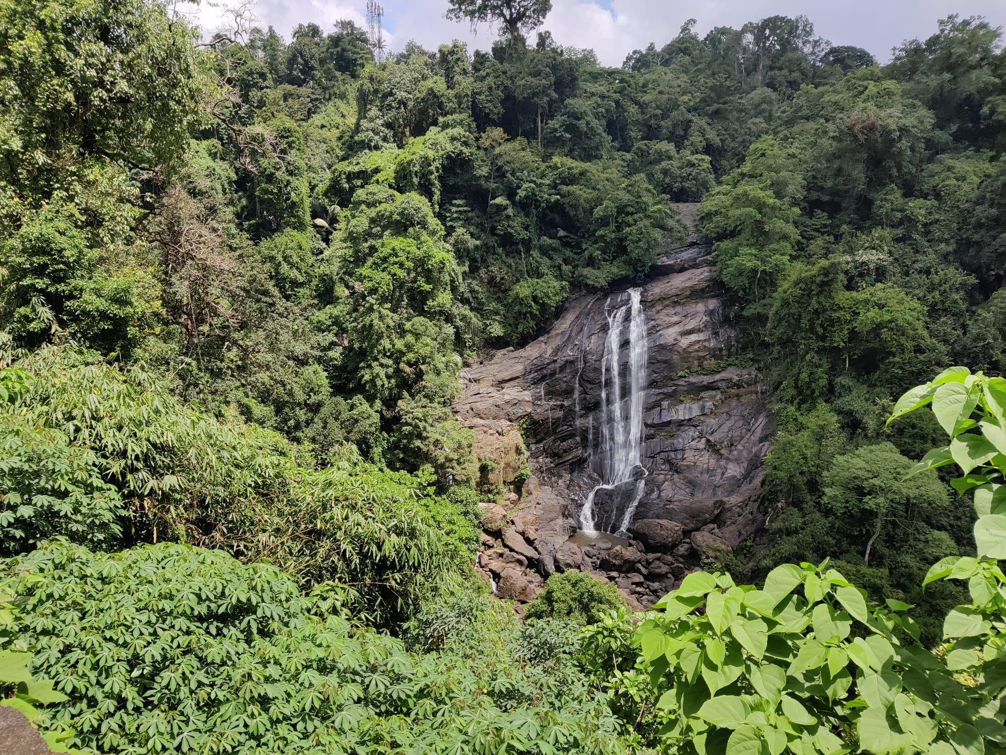5-Day Kerala Escape: Munnar Hills, Thekkady Wildlife & Alleppey Houseboat