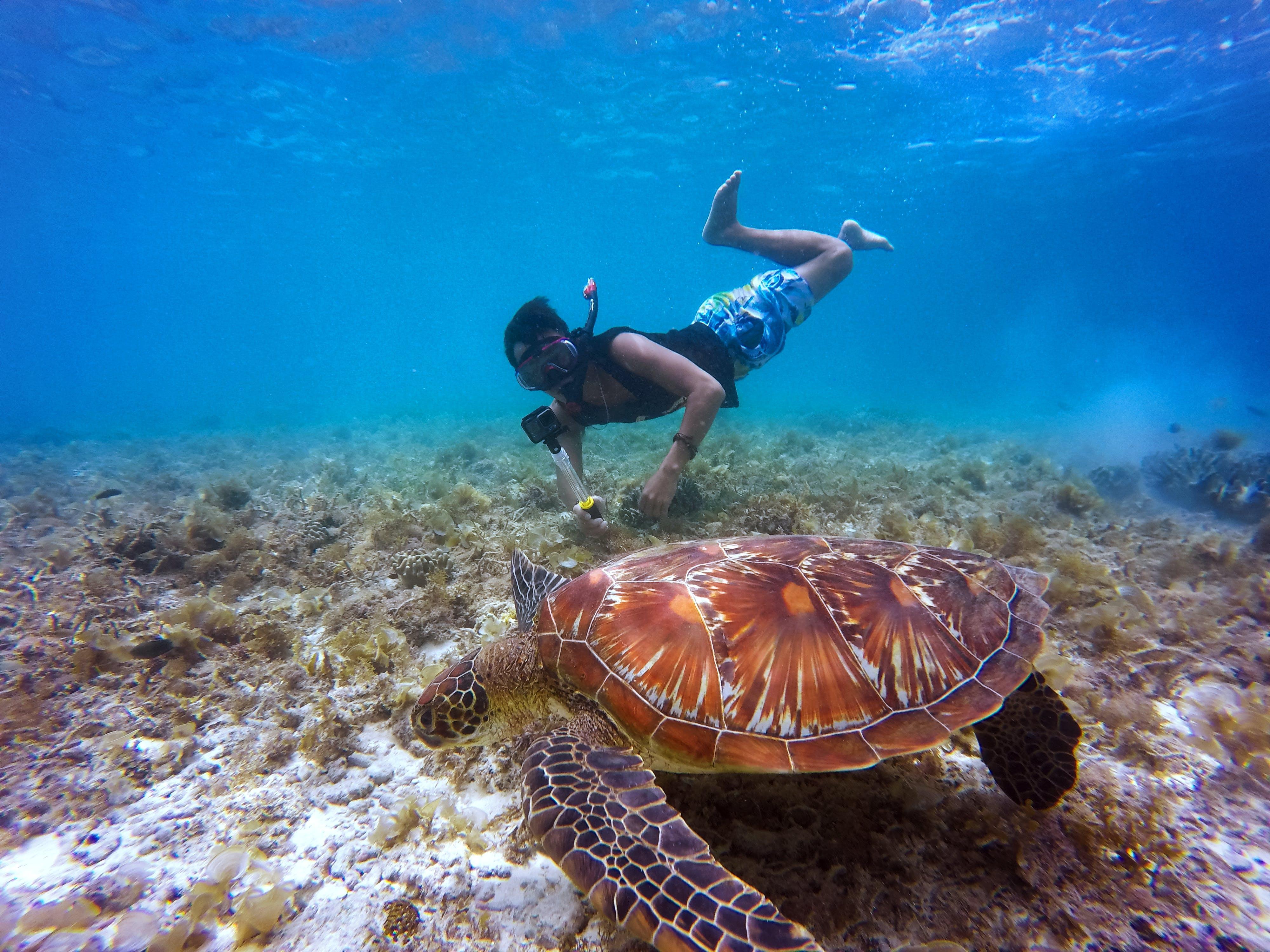 Shore Snorkeling Adventure in Khor Fakkan