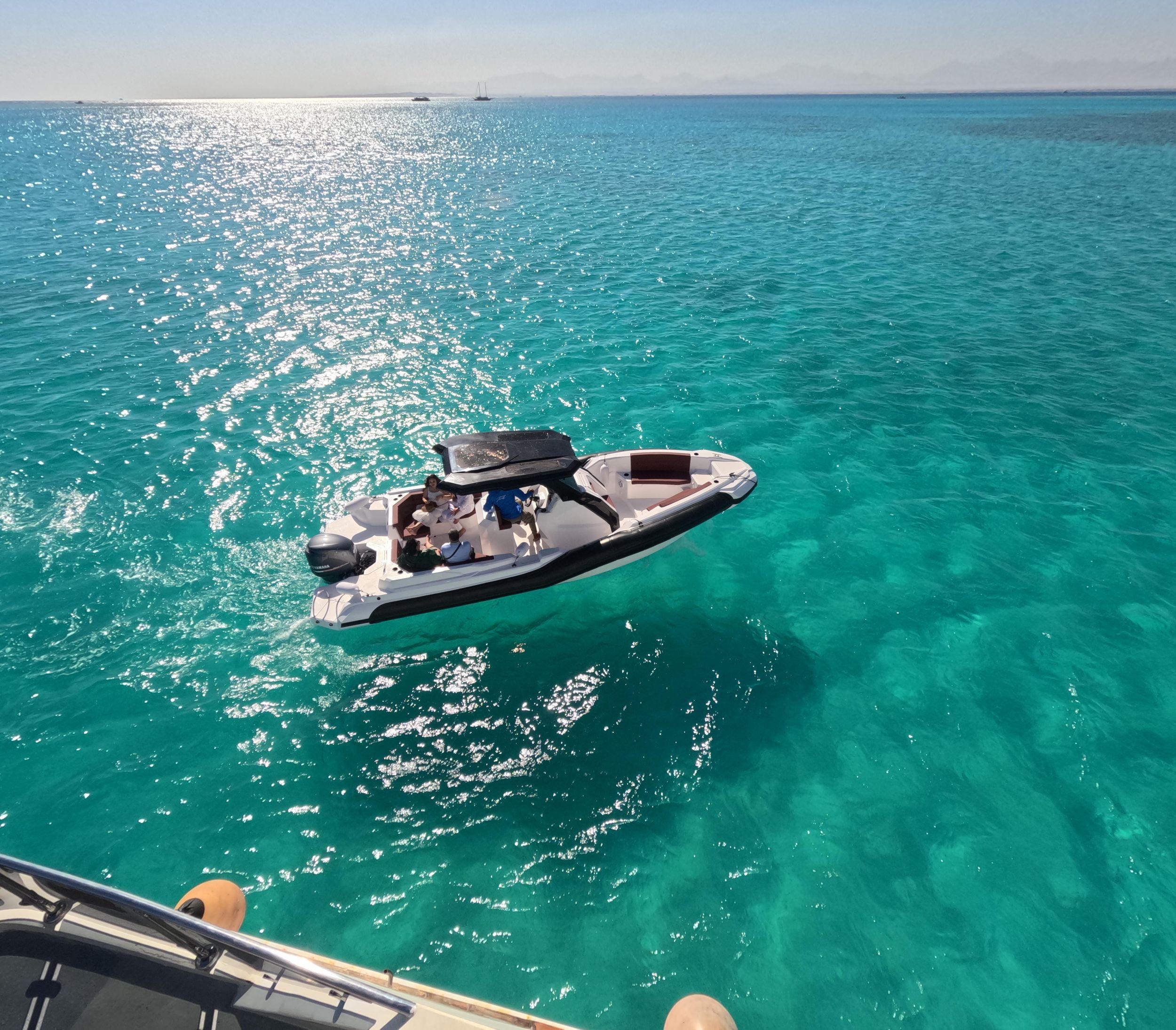 Private Speedboat to Dolphin House with Hotel Transfer