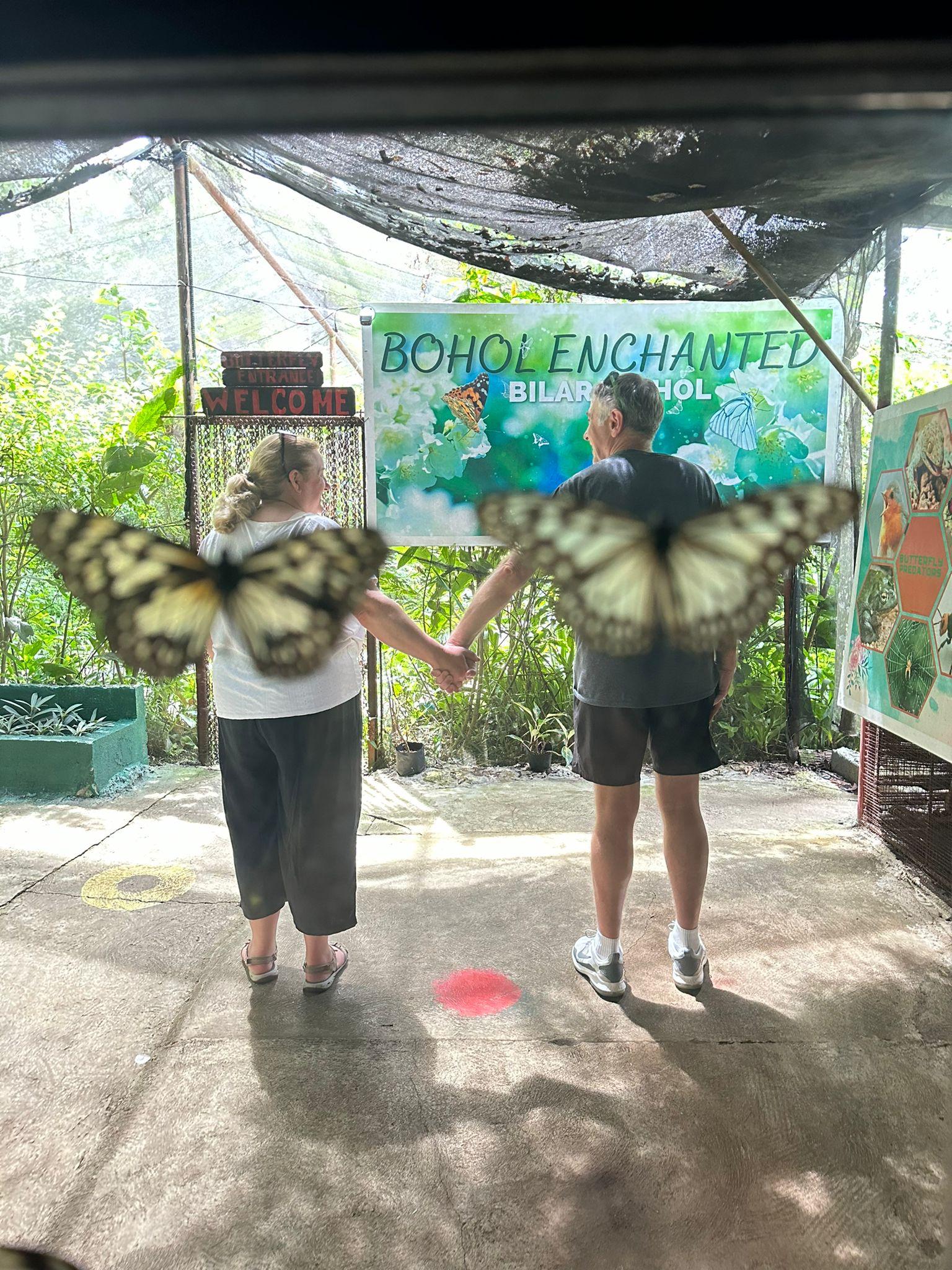 Bohol Day Trip from Cebu: Chocolate Hills, Tarsiers & Loboc River Cruise