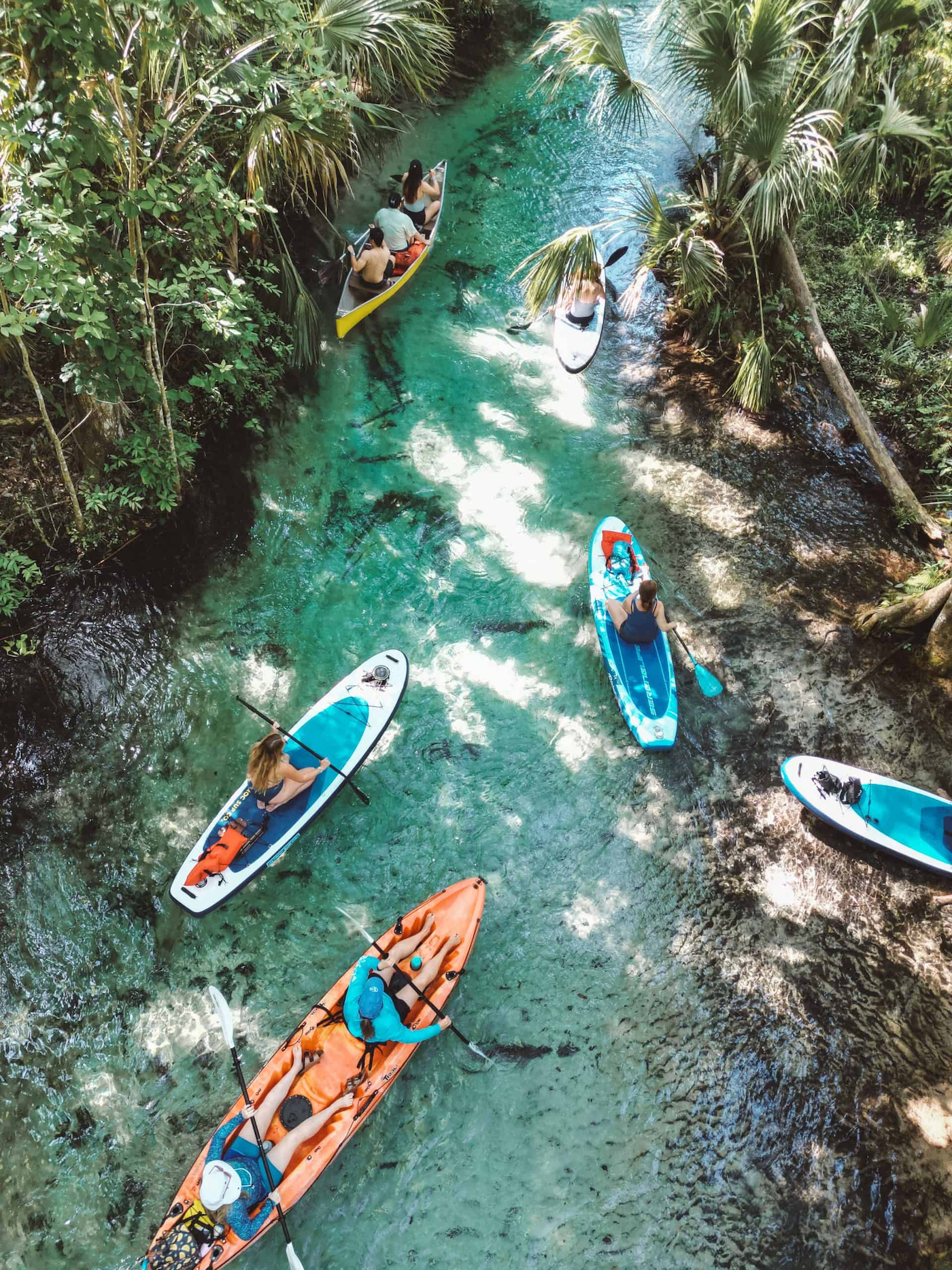 Rainbow Springs Guided Kayak Eco Adventure