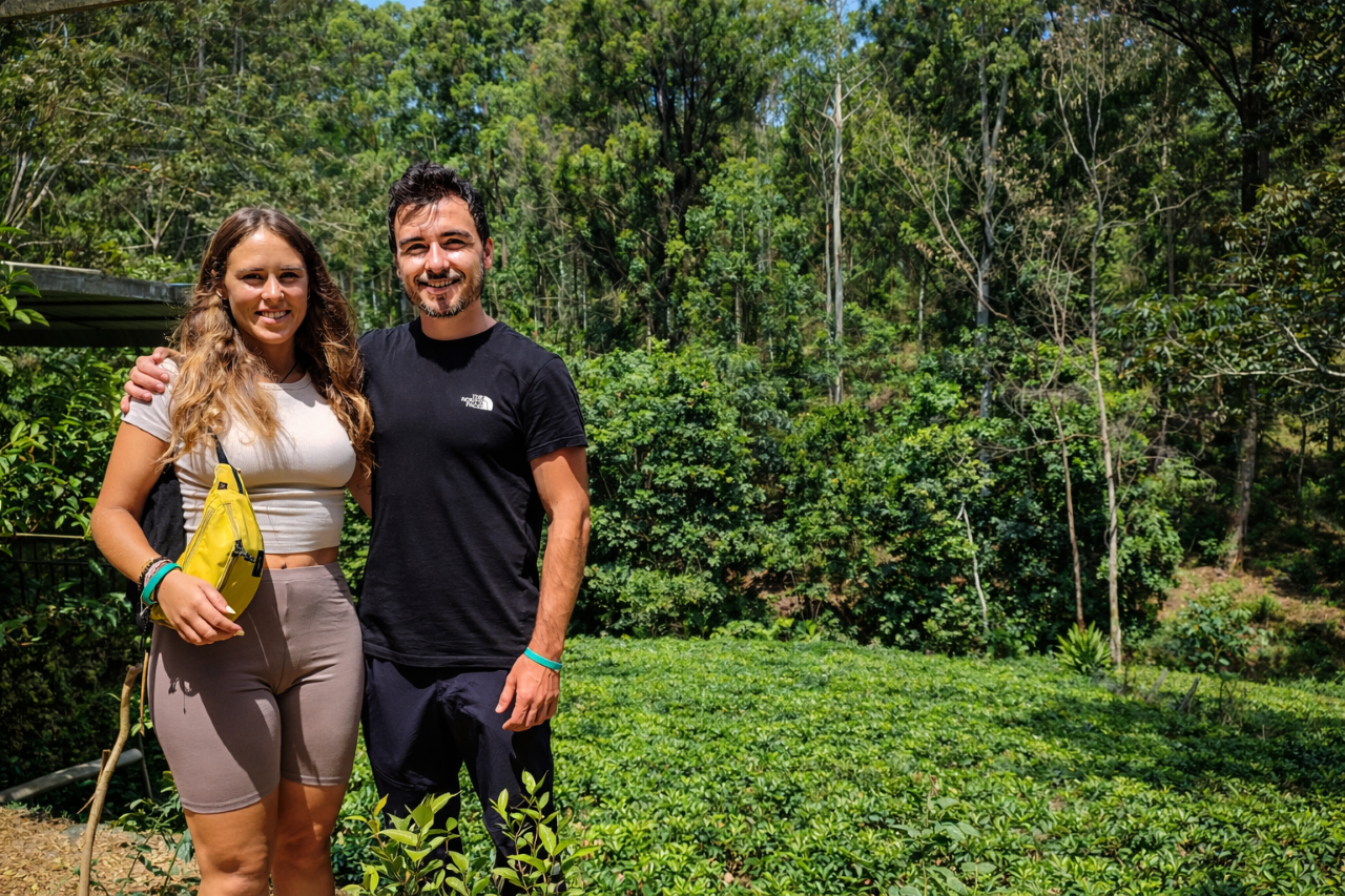 Ella: Hands-On Tea Making and Tasting Experience