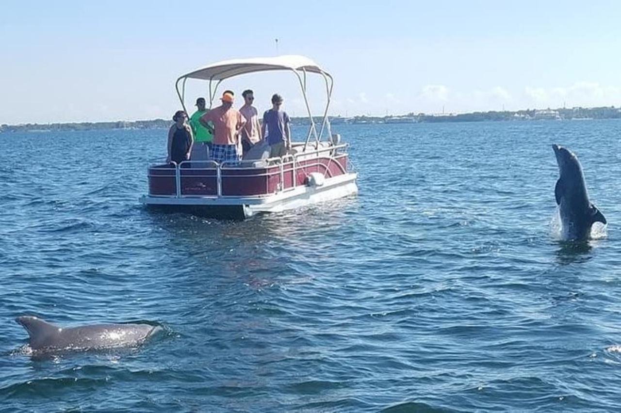 Key Largo Wildlife Eco Boat Tour