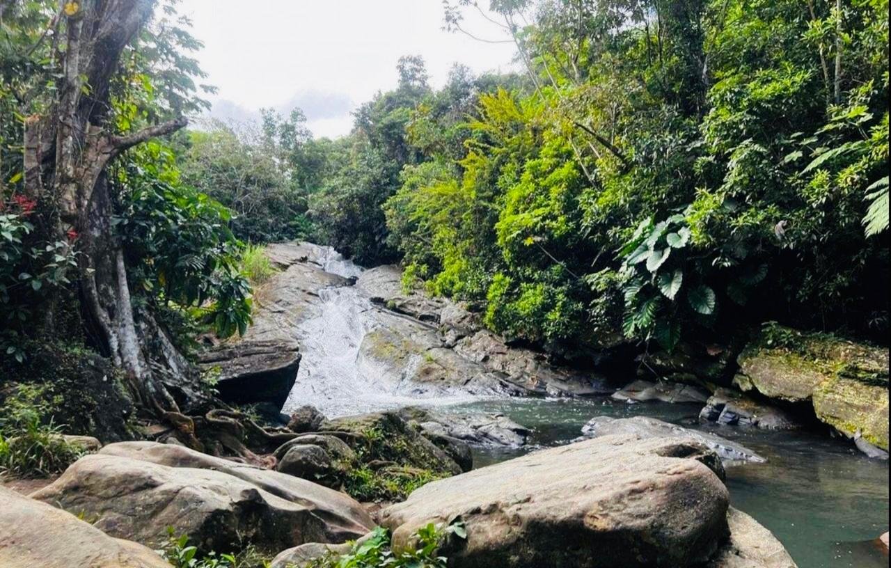 San Juan 3-in-1: Old City, El Yunque Rainforest & Luquillo Beach