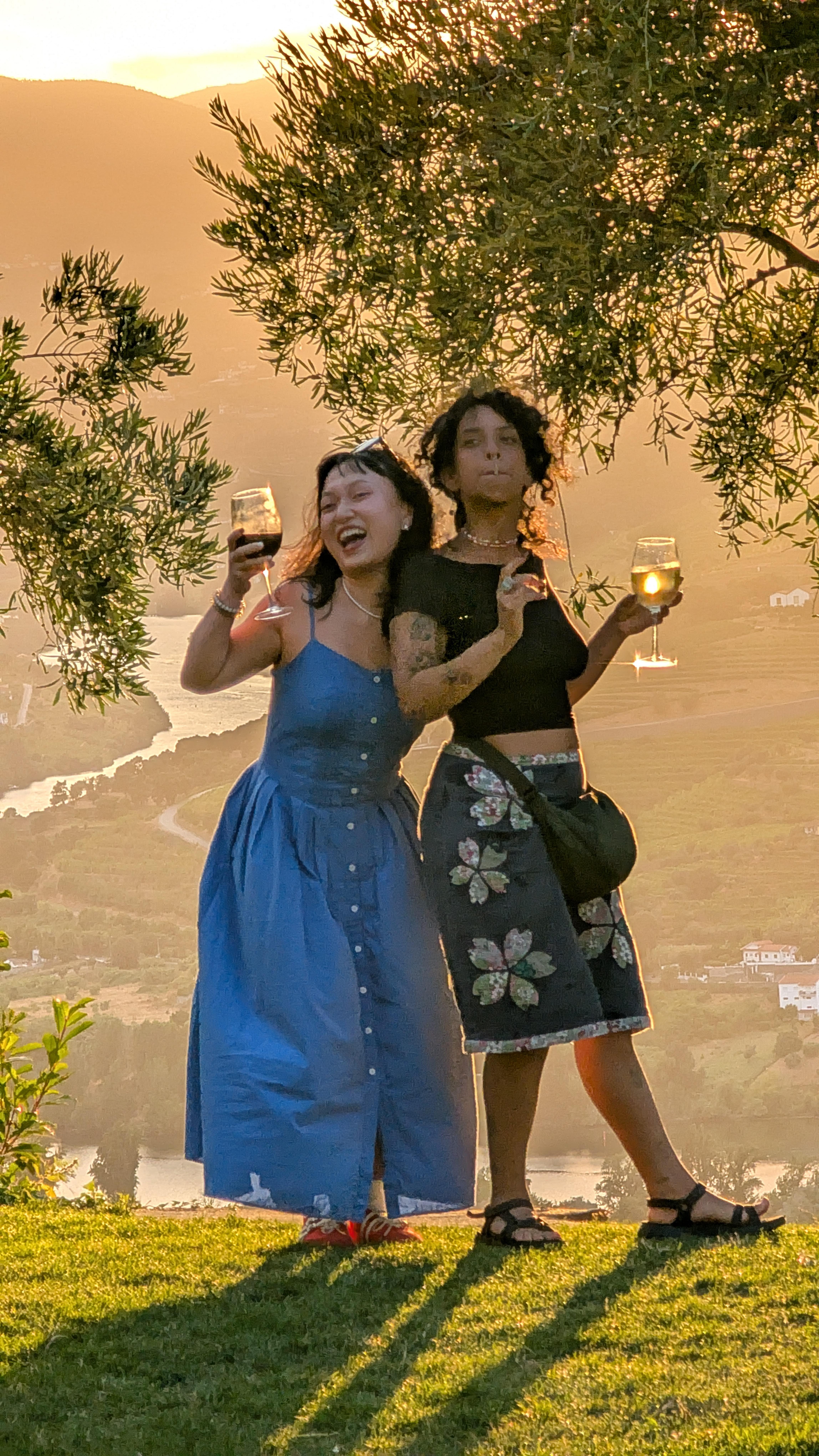 Porto: Douro Valley & Vinho Verde Day Tour with Tastings, Lunch & Boat Cruise