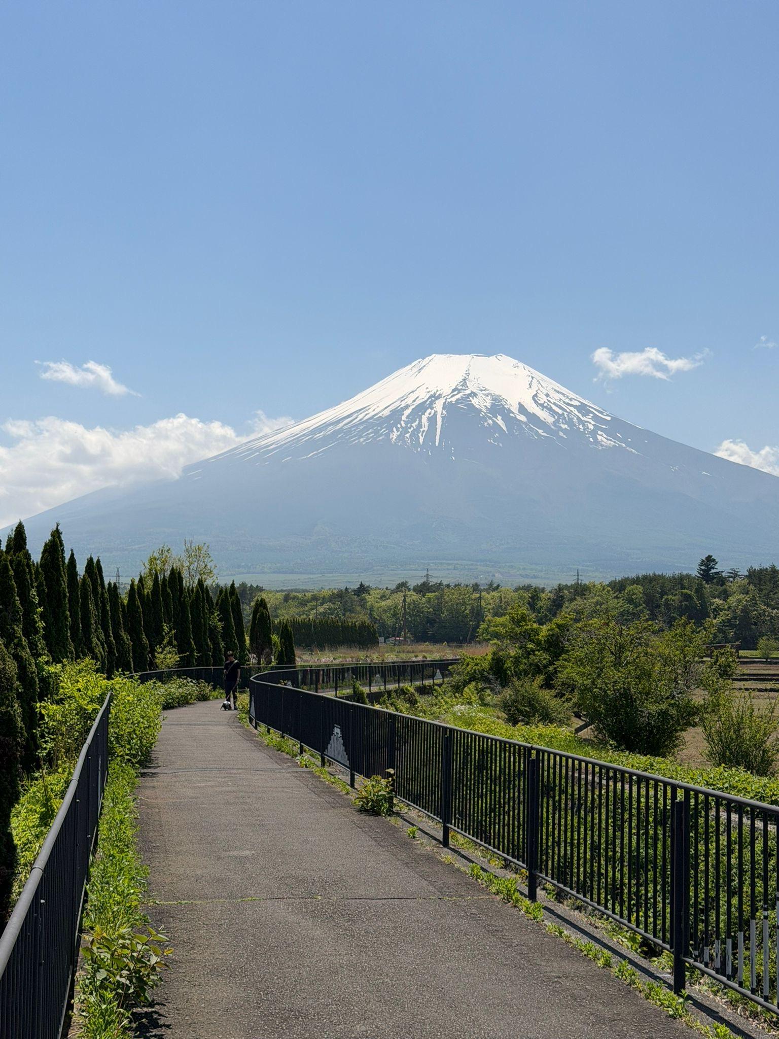 Private Mount Fuji & Hakone Day Tour from Tokyo