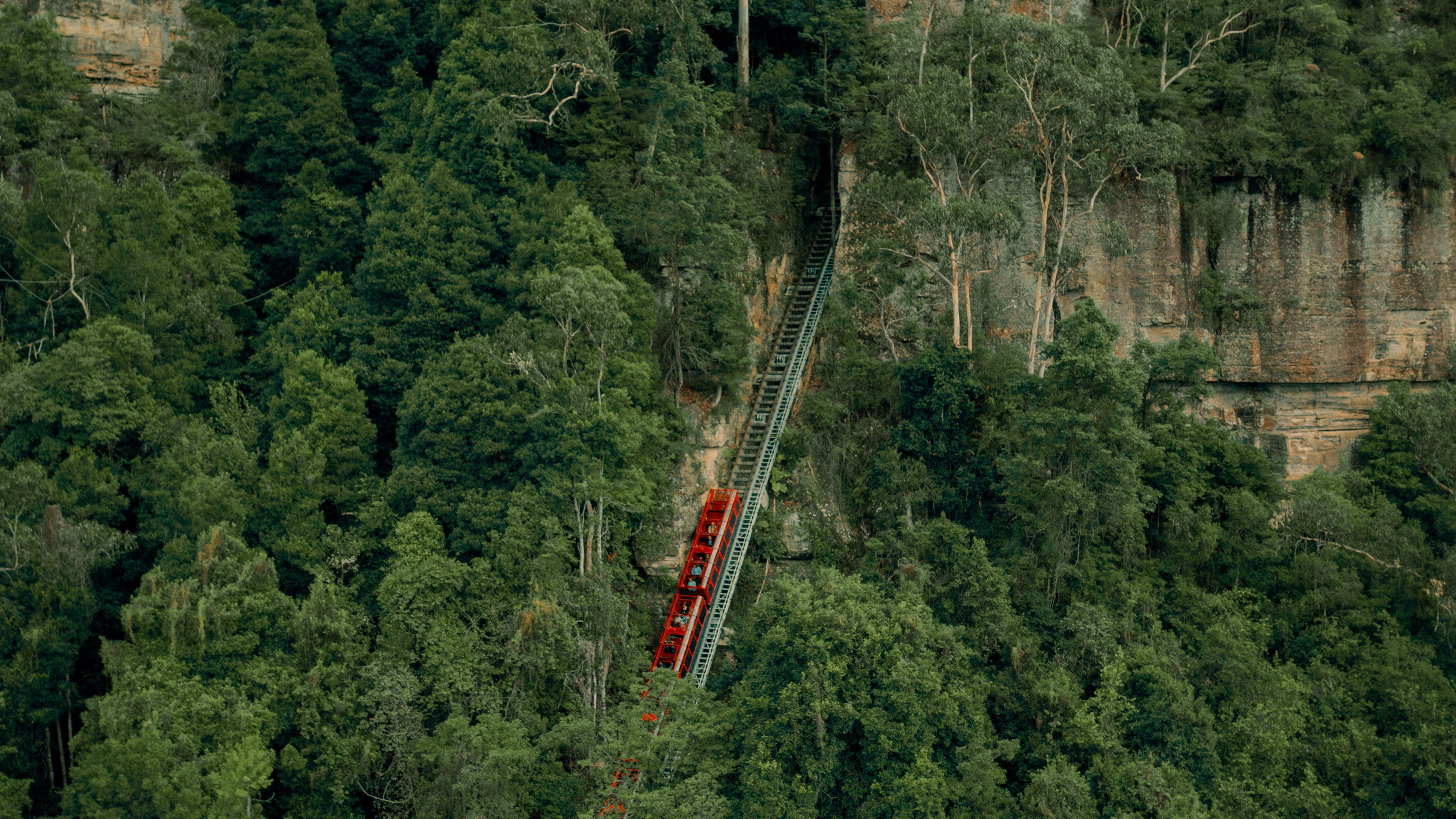 Blue Mountains day trip from Sydney — image 24