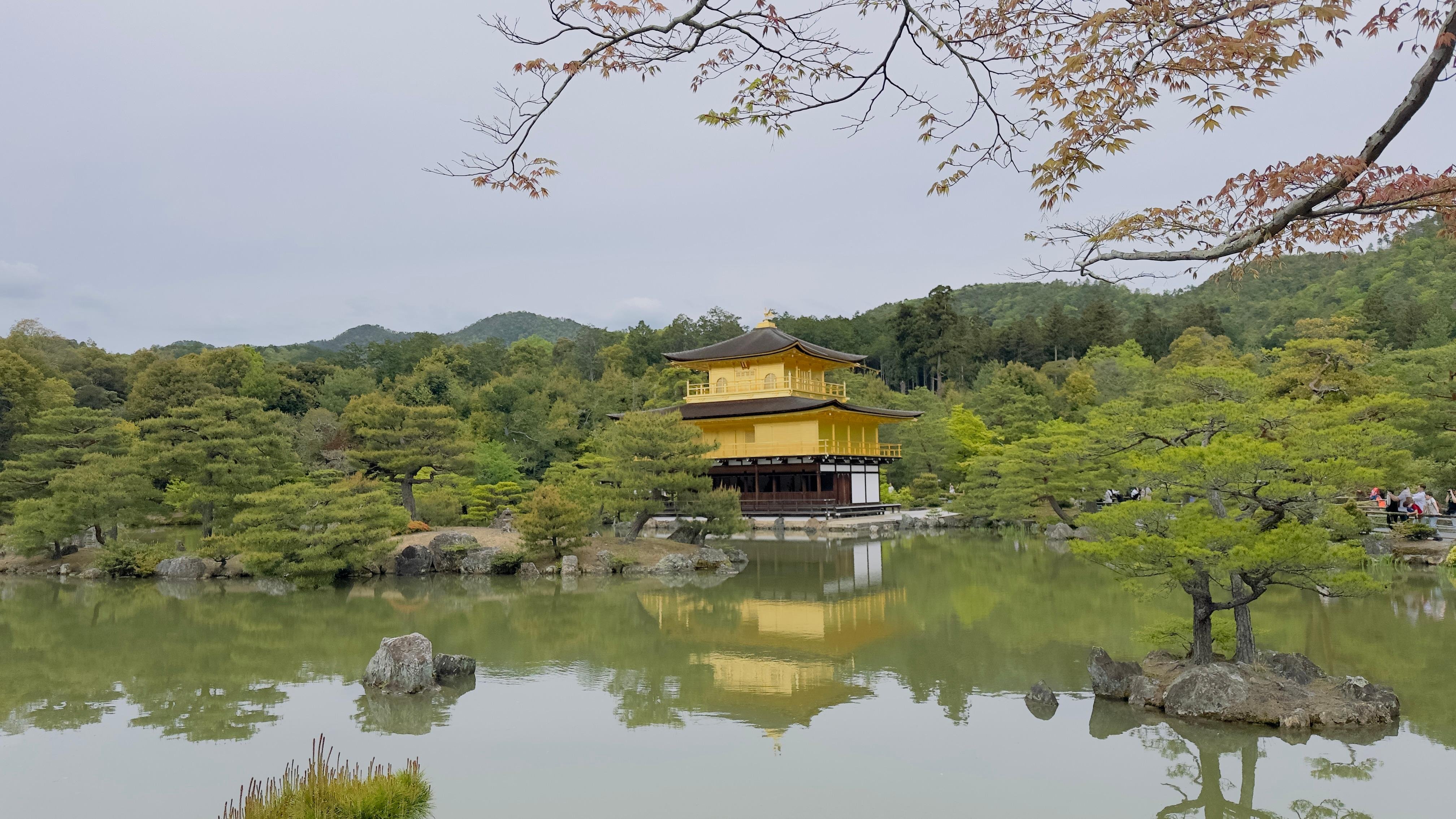 Privat høydepunkts-tur i Kyoto med sjåfør og engelskspråklig guide