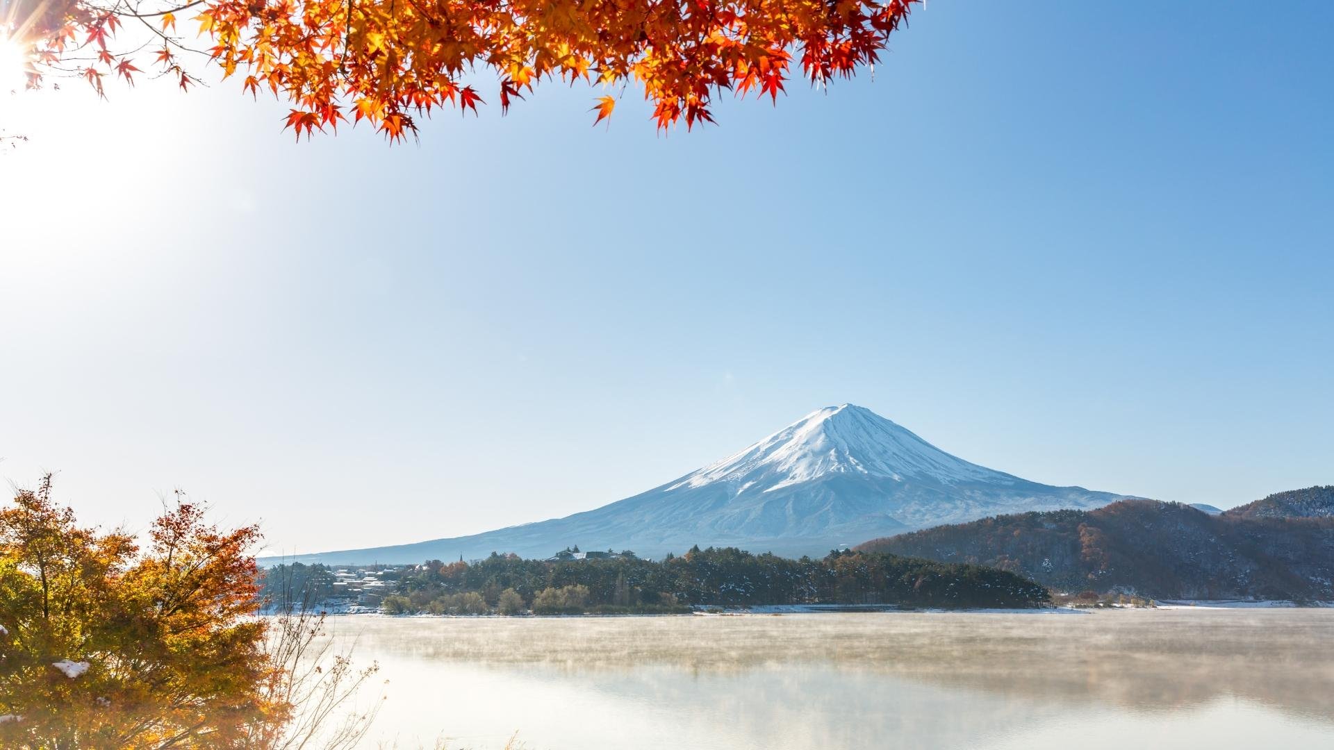 Mt. Fuji Iconic Views & Photography Day Trip from Tokyo