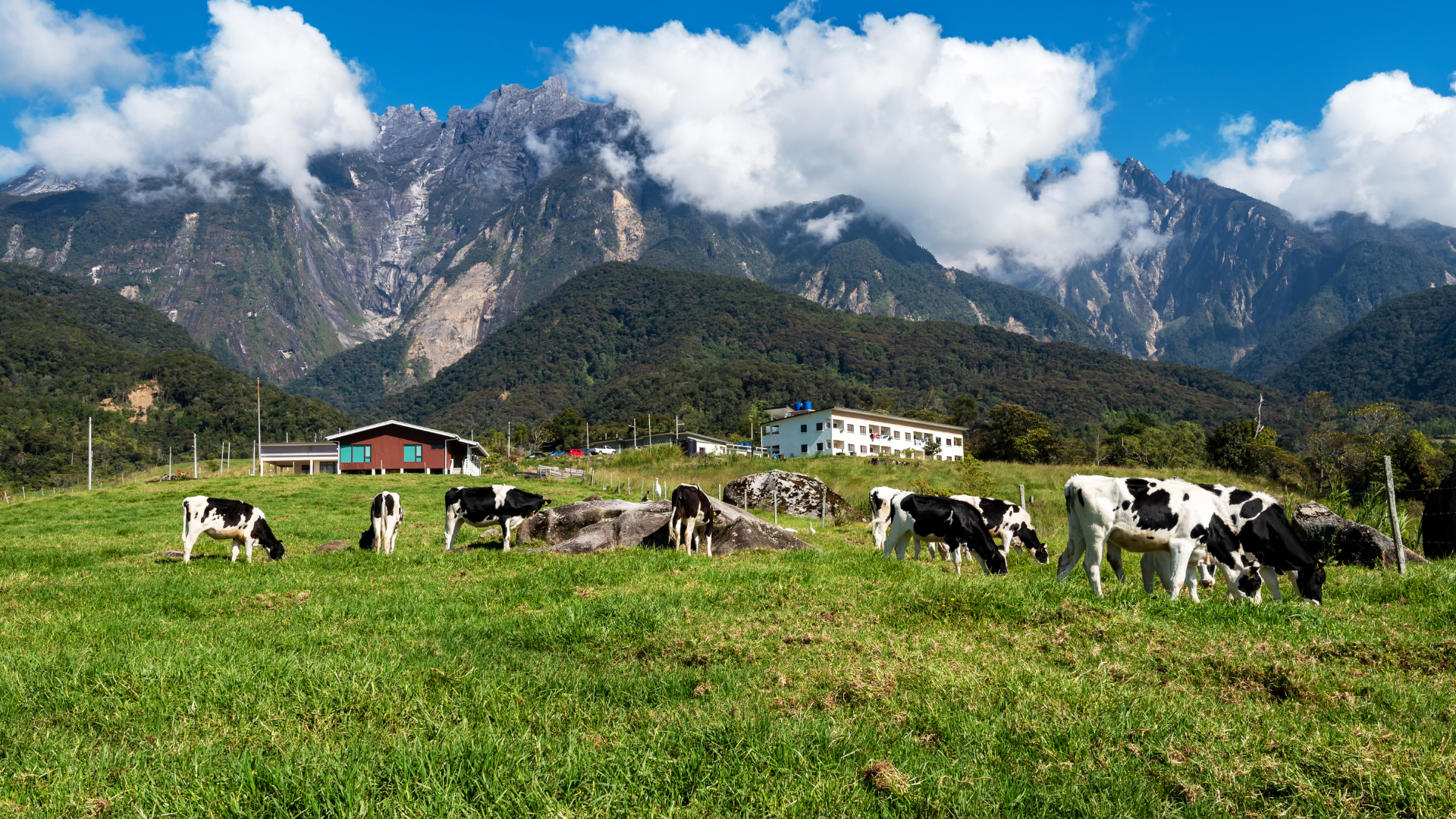4-Day Sabah Nature & Island Discovery
