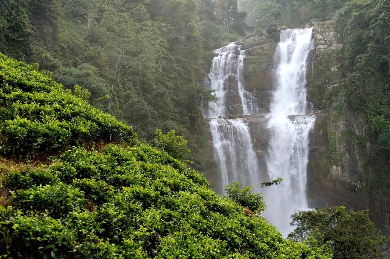 Kandy to Ella Private Scenic Transfer with Train Experience