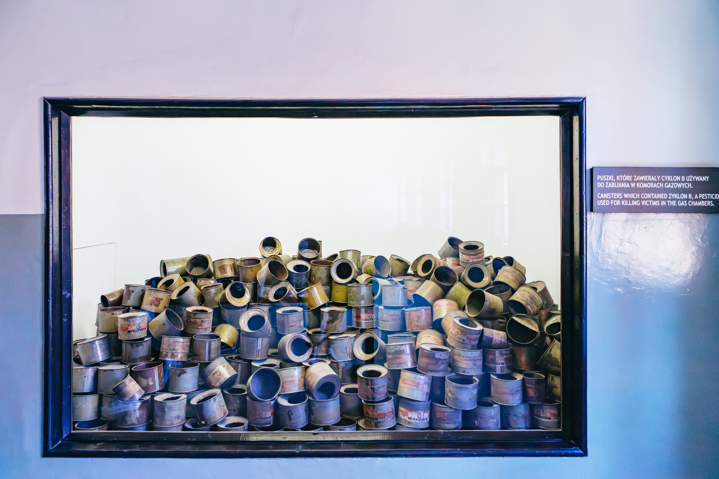 Official Auschwitz-Birkenau Guided Day Trip from Krakow